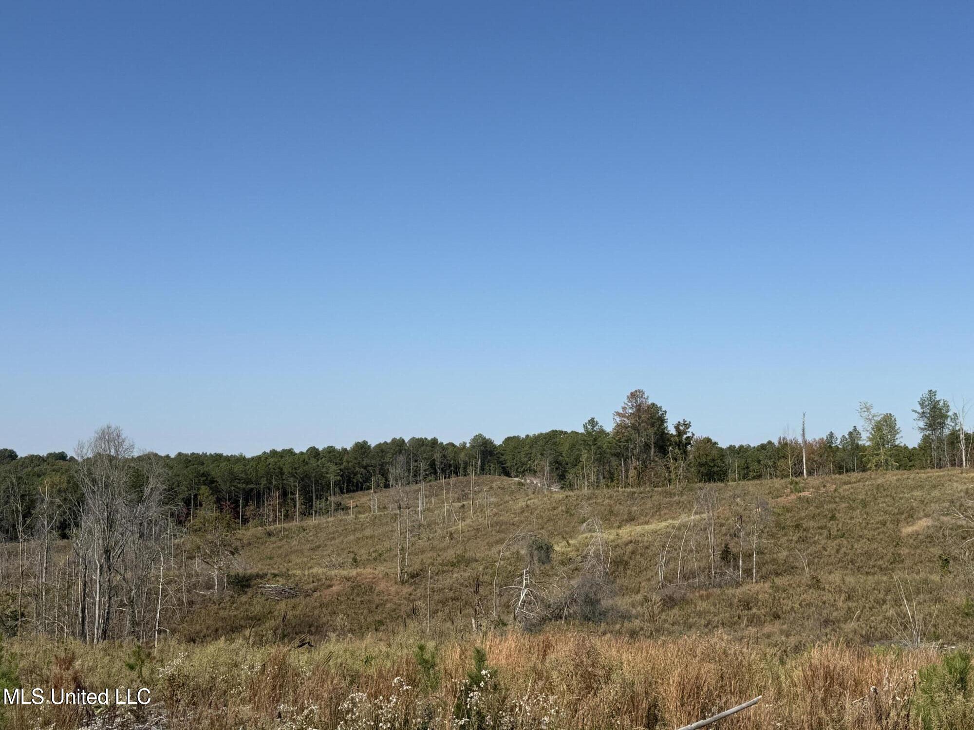 Off Highway 315 Property Photo 17