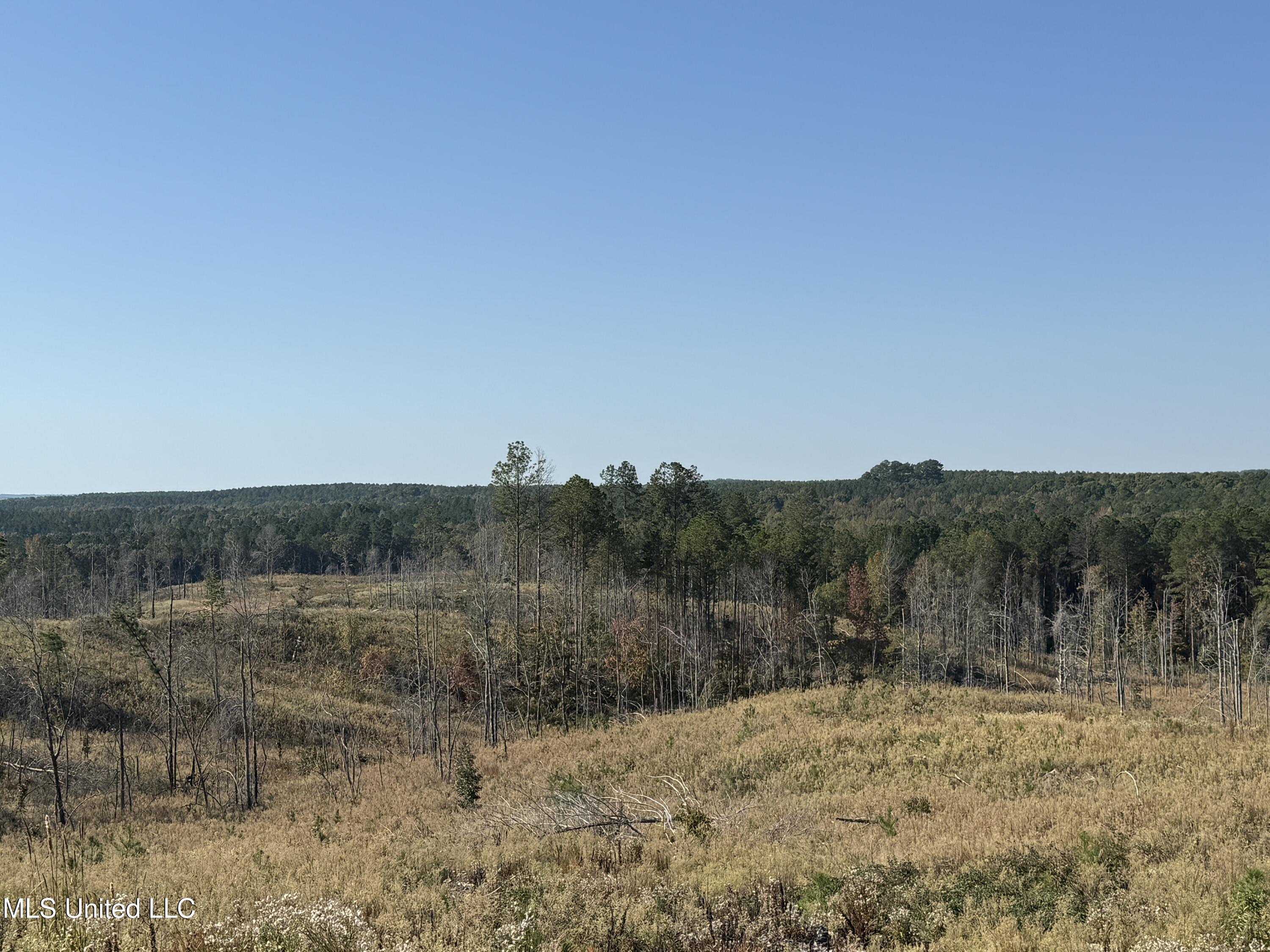 Off Highway 315 Property Photo 18