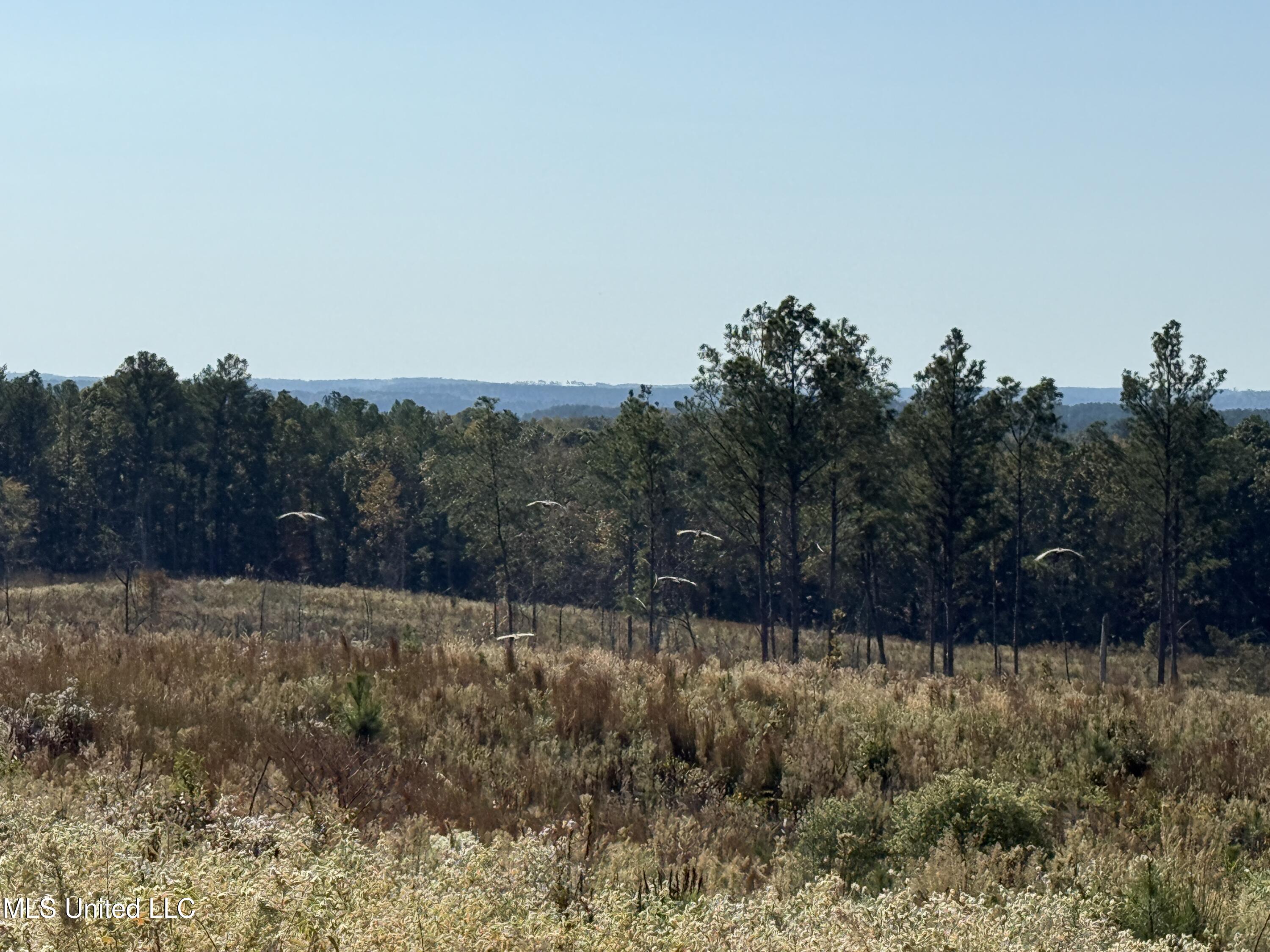 Off Highway 315 Property Photo 19