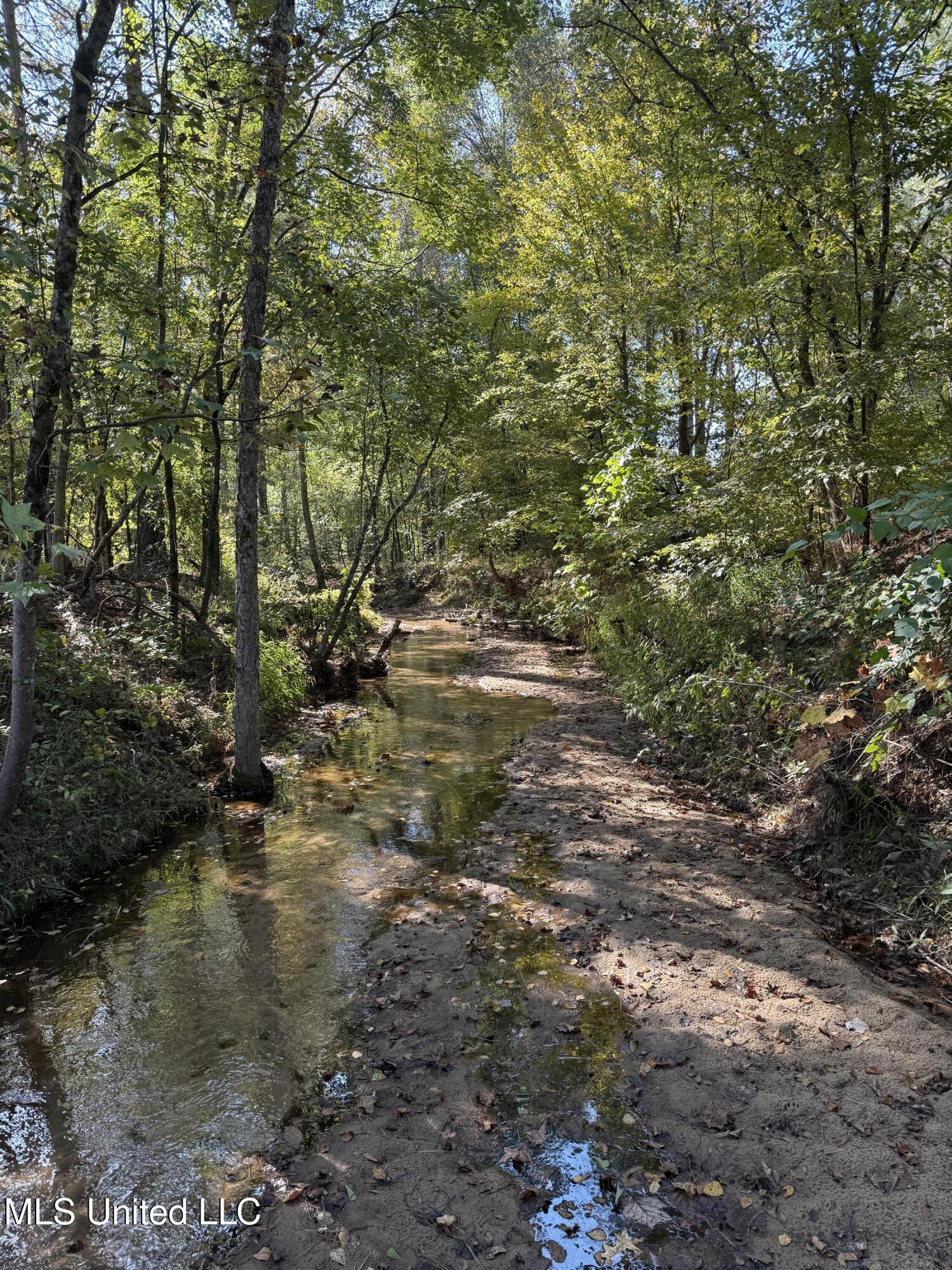 Off Highway 315 Property Photo 21