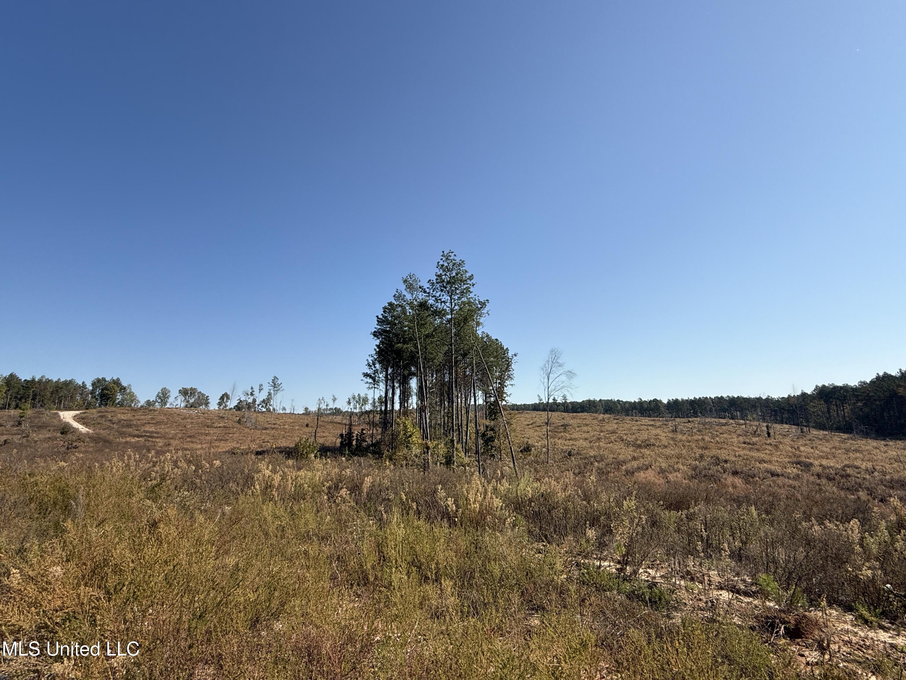 Off Highway 315 Property Photo 22