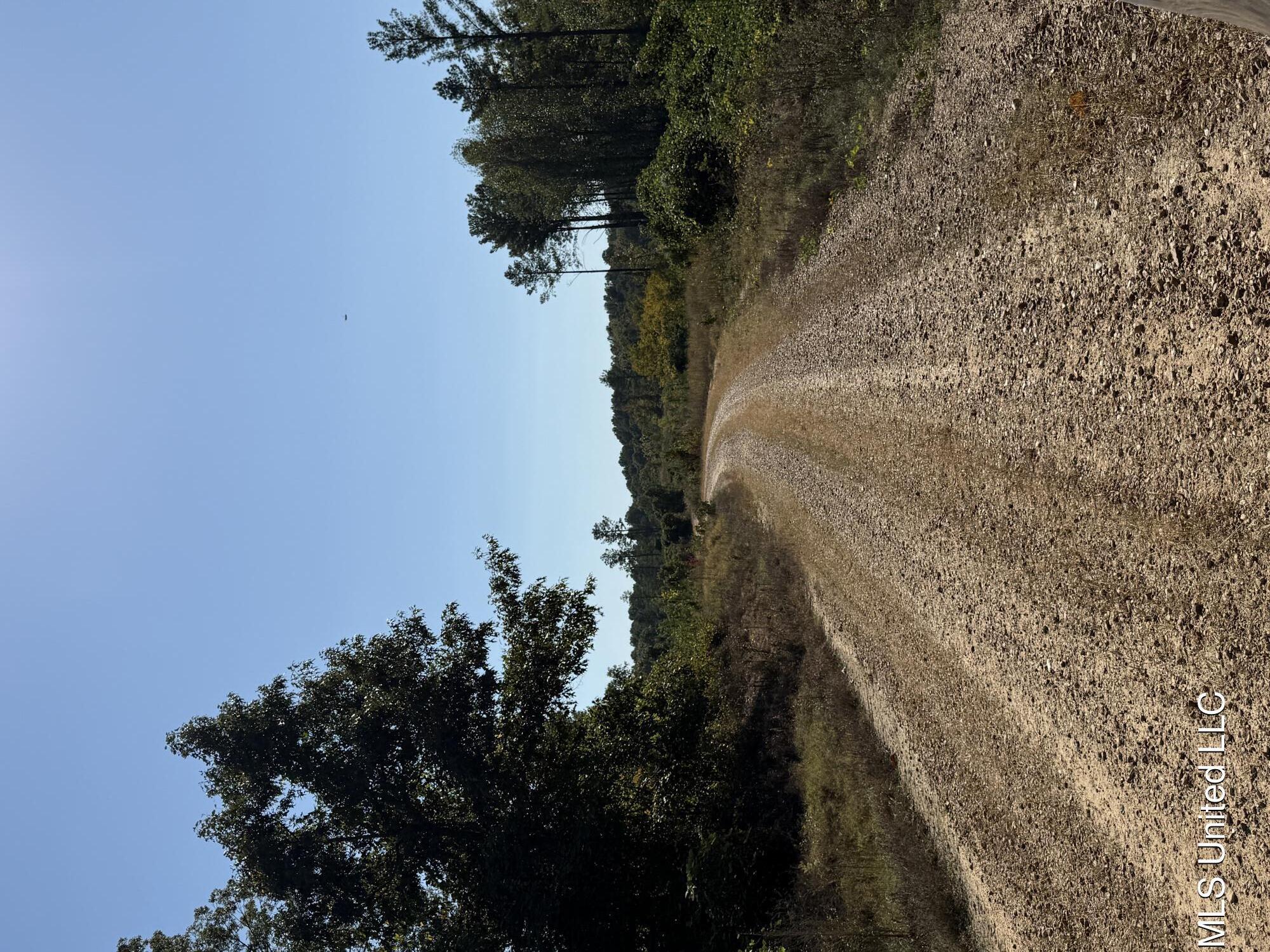 Off Highway 65 Property Photo 1