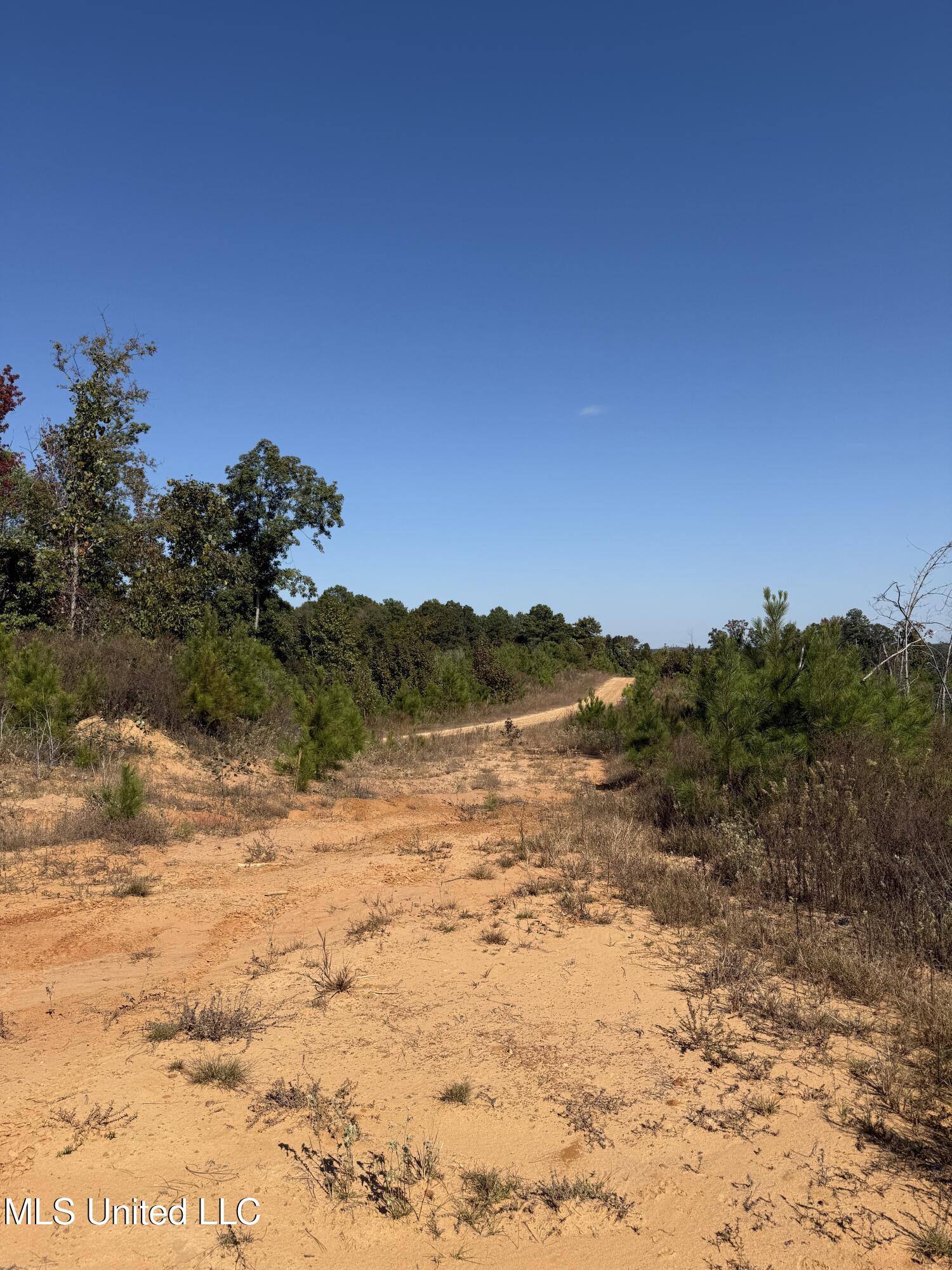 Off Highway 65 Property Photo 2