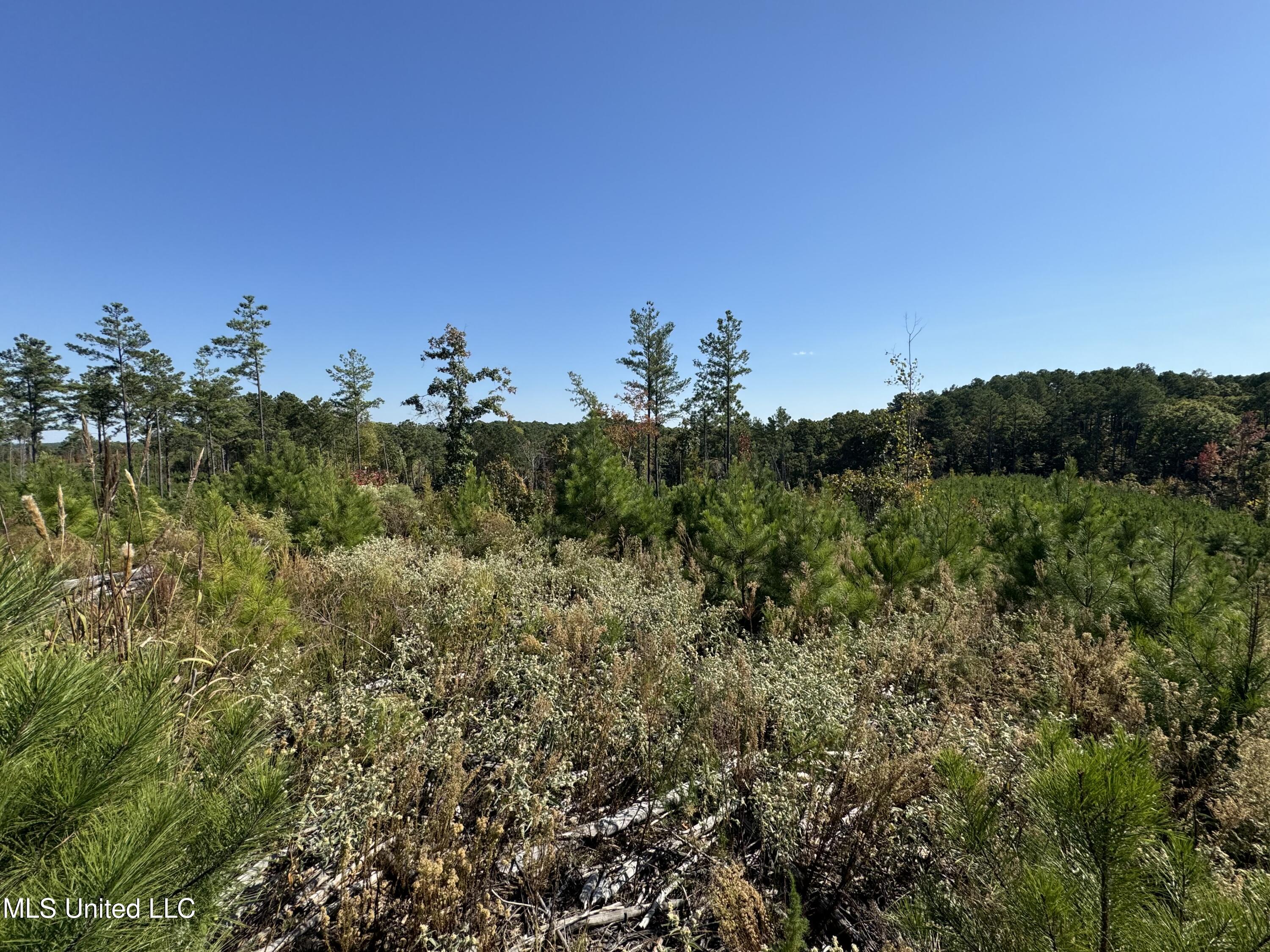Off Highway 65 Property Photo 3