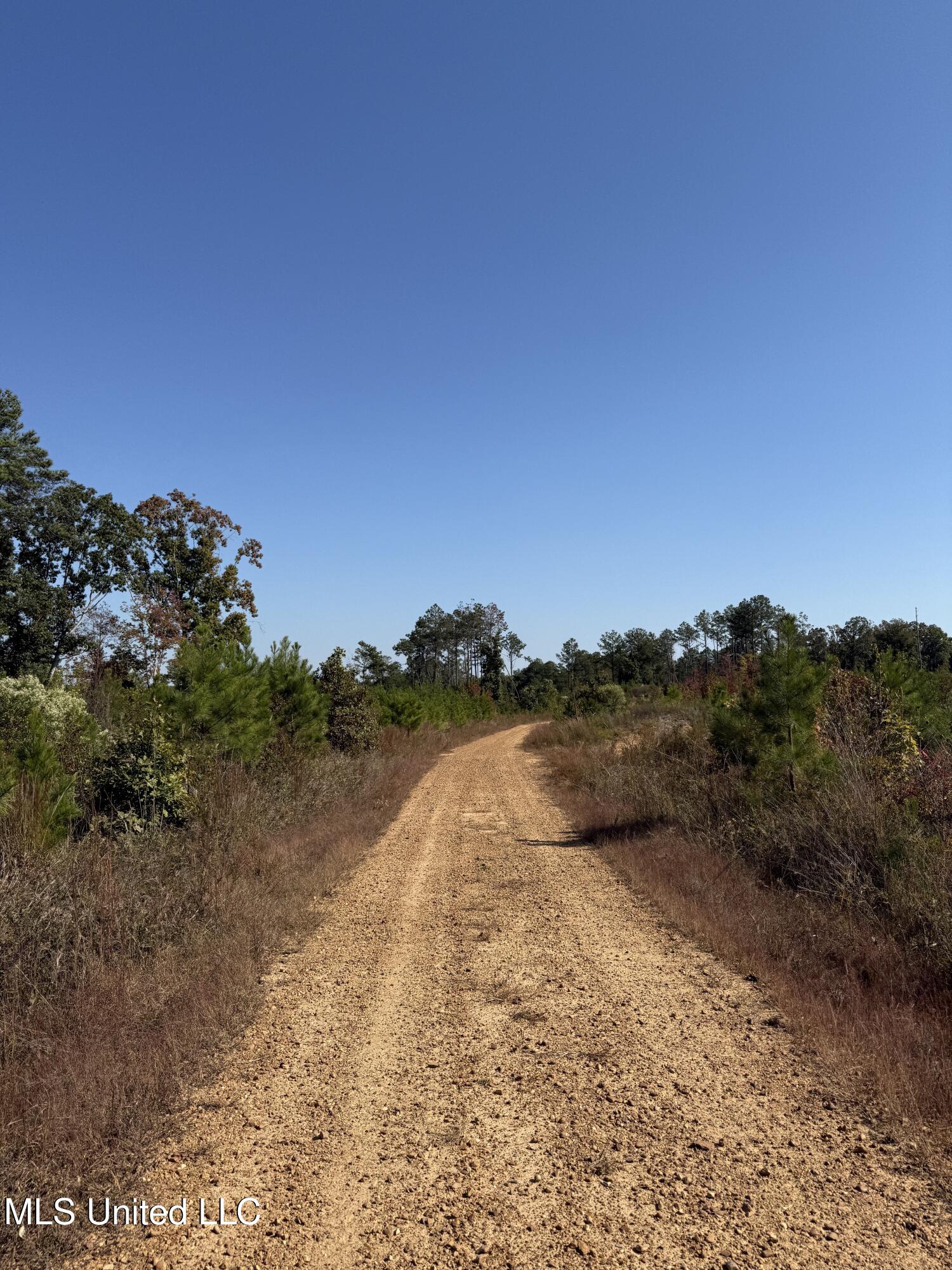 Off Highway 65 Property Photo 4
