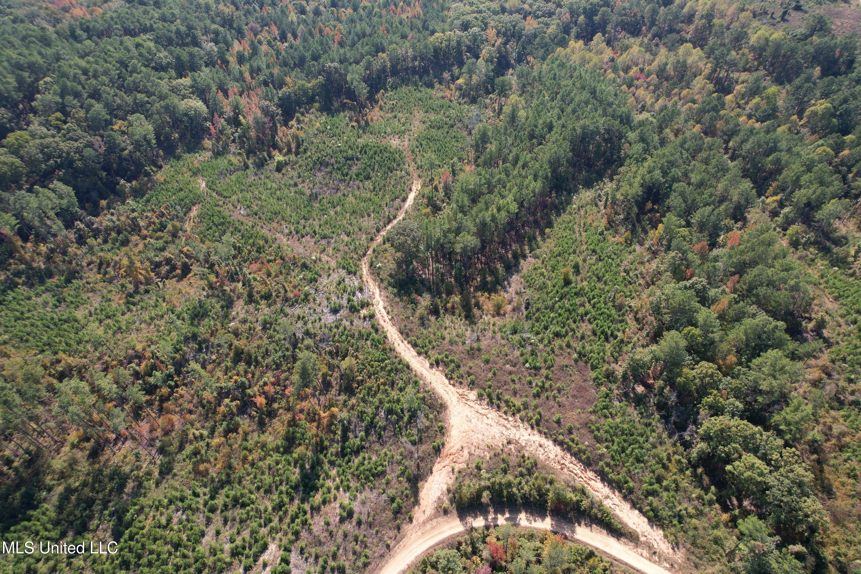 Off Highway 65 Property Photo 5