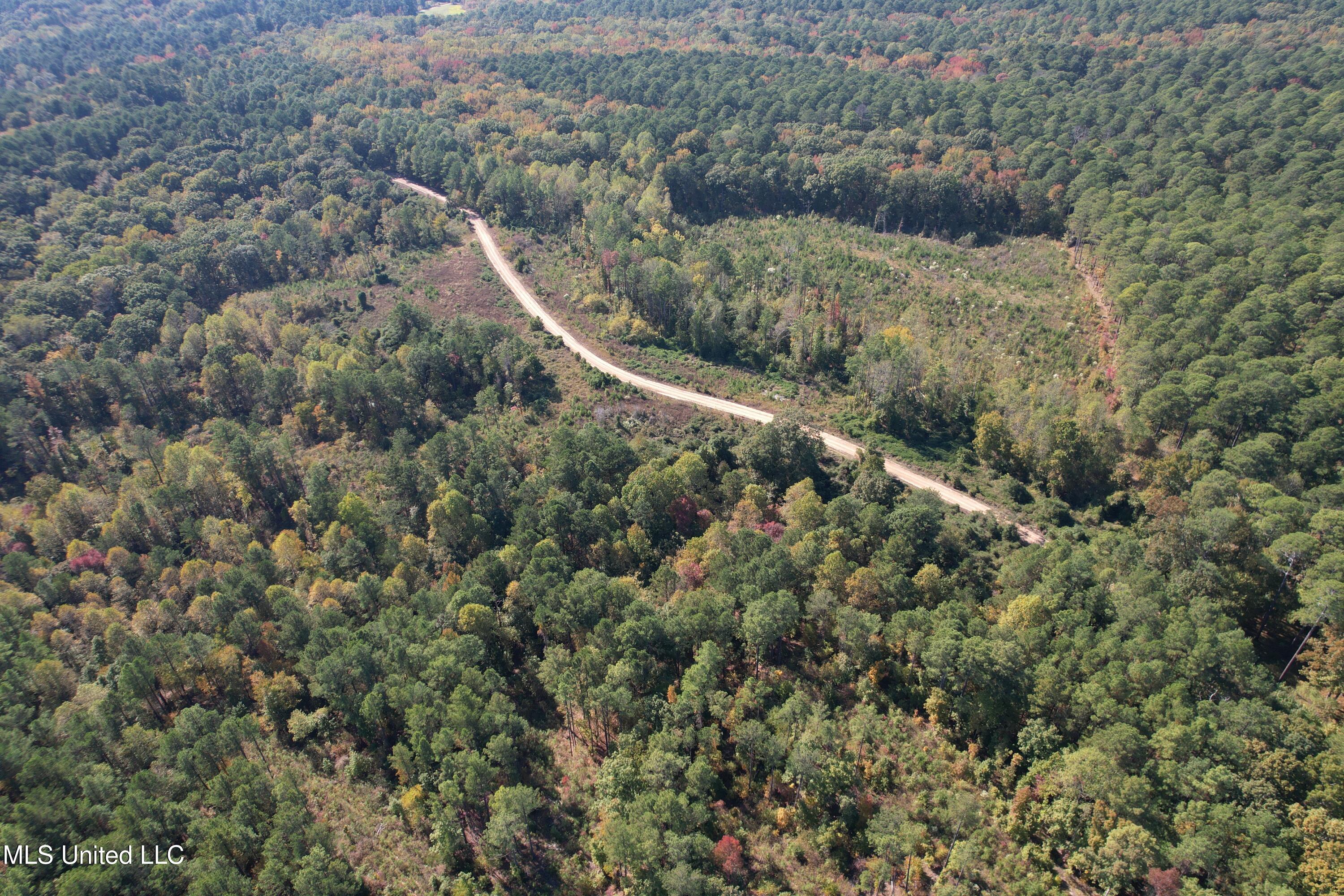 Off Highway 65 Property Photo 6