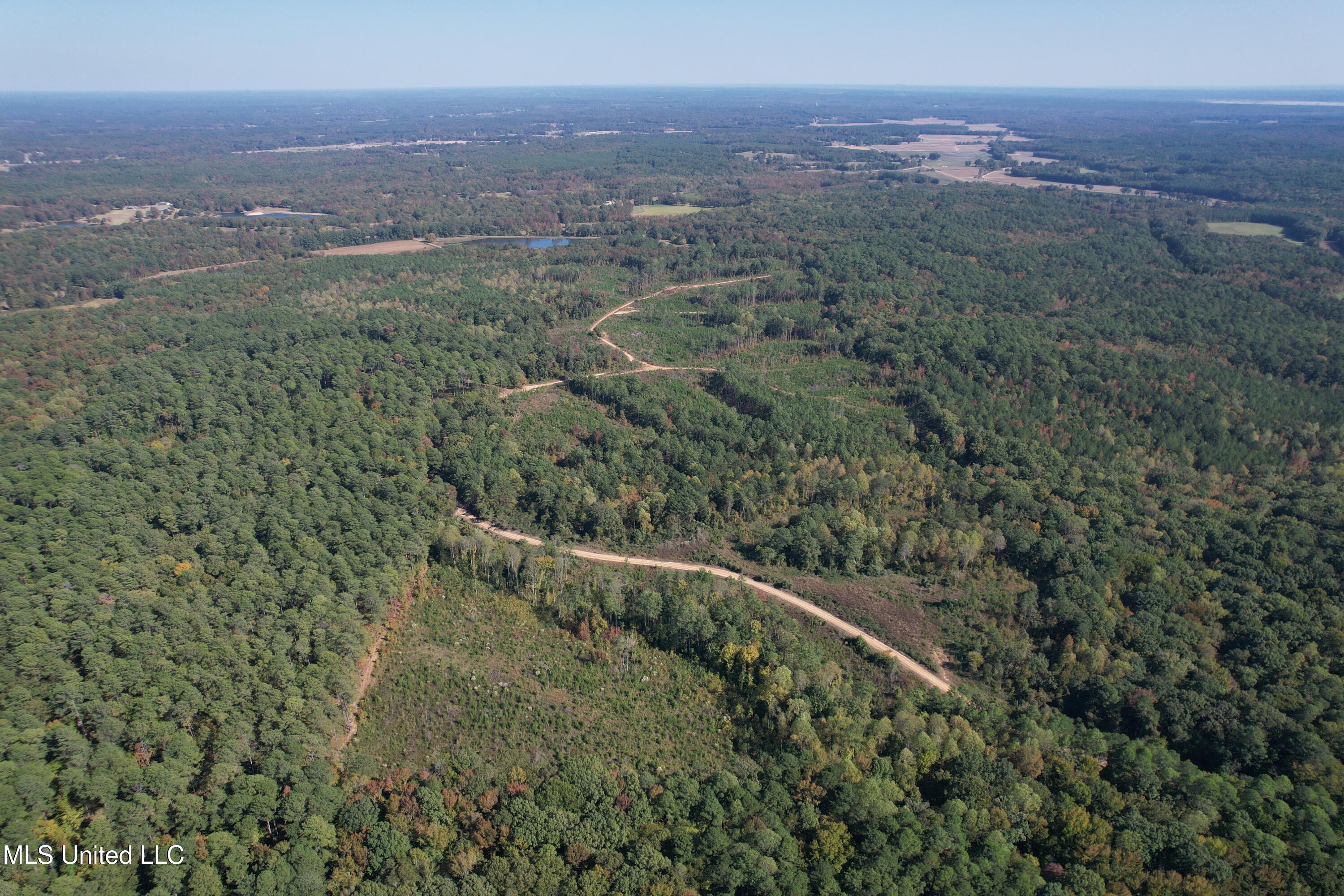 Off Highway 65 Property Photo 7