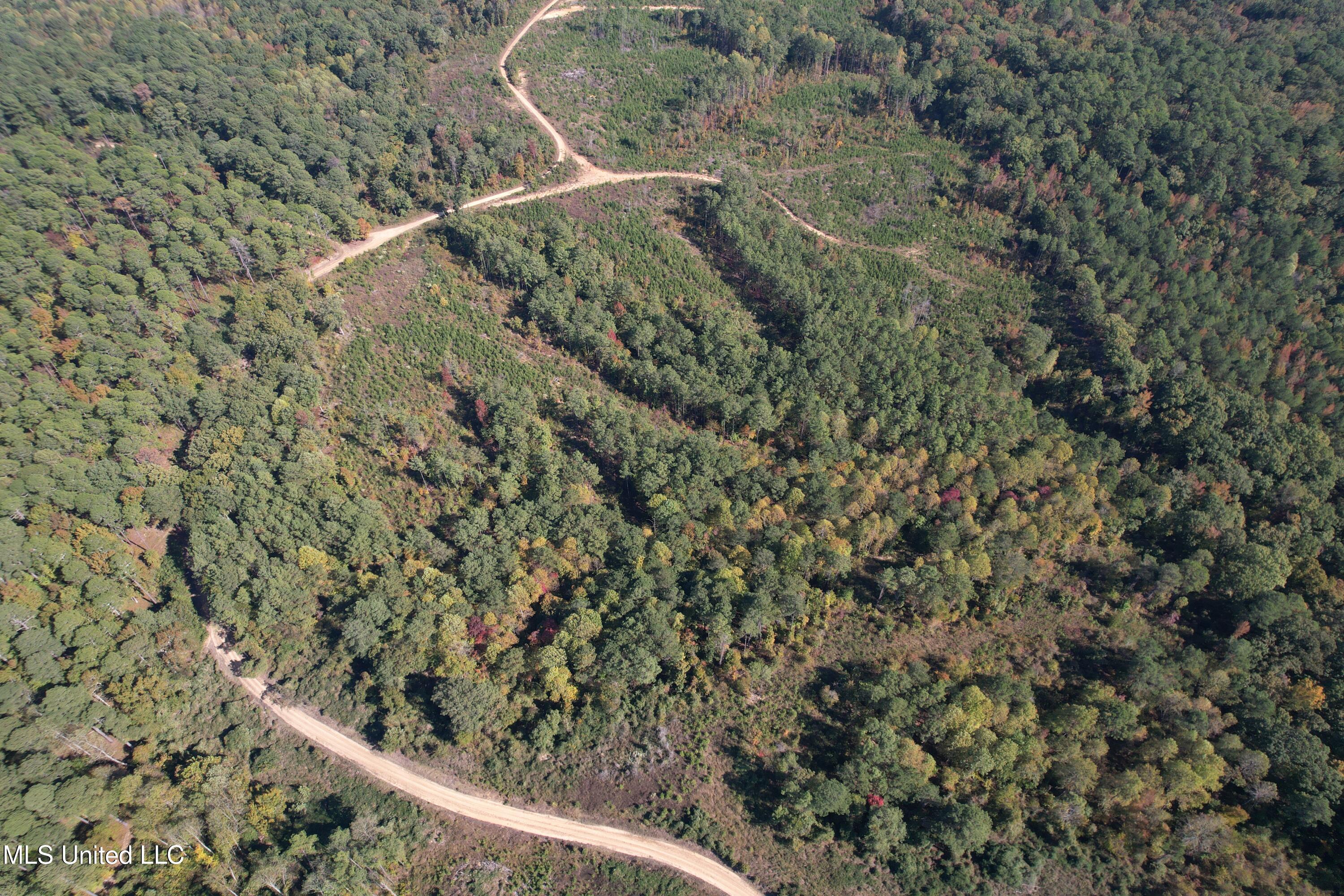 Off Highway 65 Property Photo 8