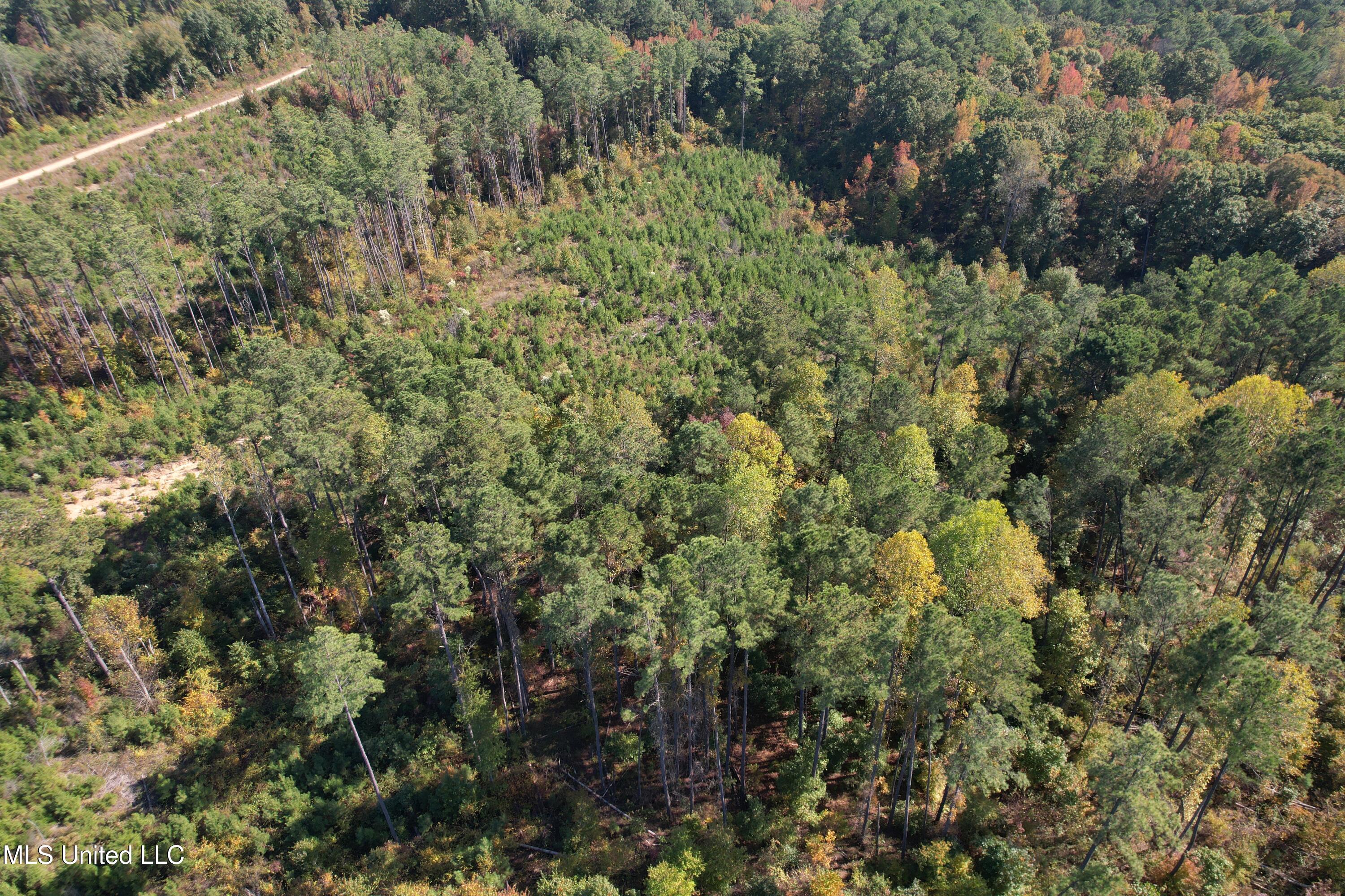 Off Highway 65 Property Photo 9