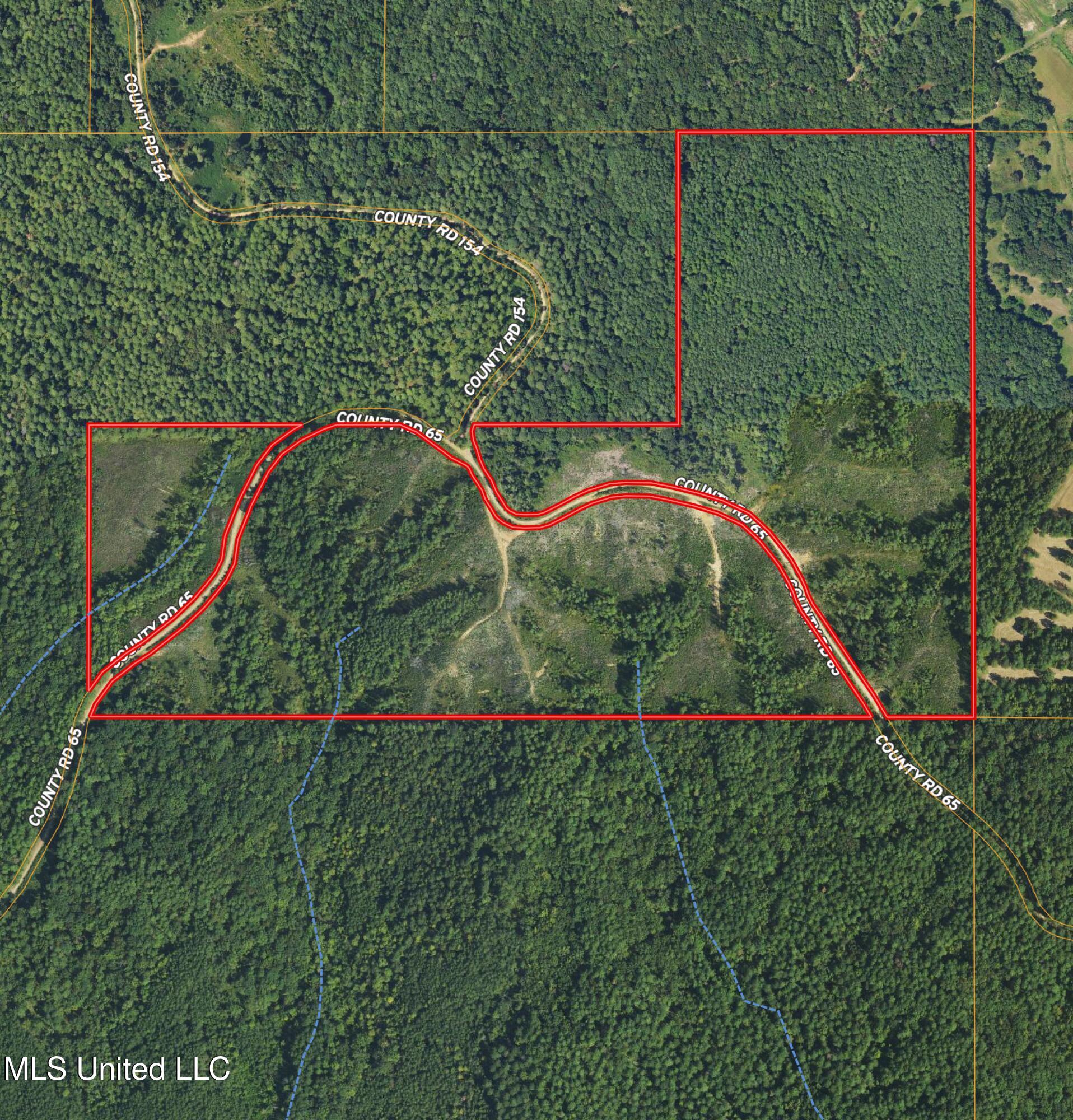 Off Highway 65 Property Photo 10