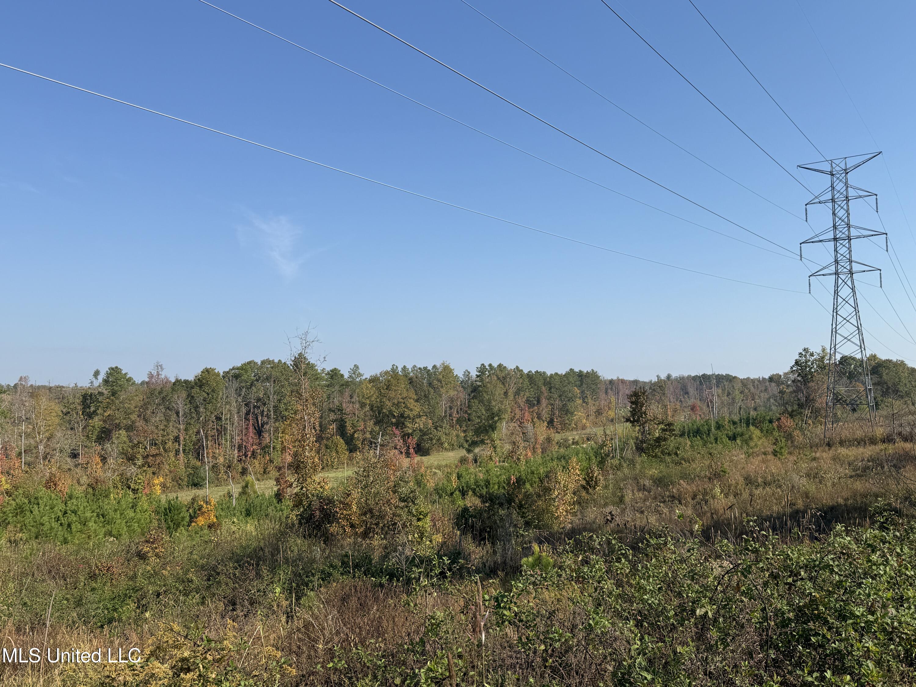 Off Highway 7 Property Photo 2