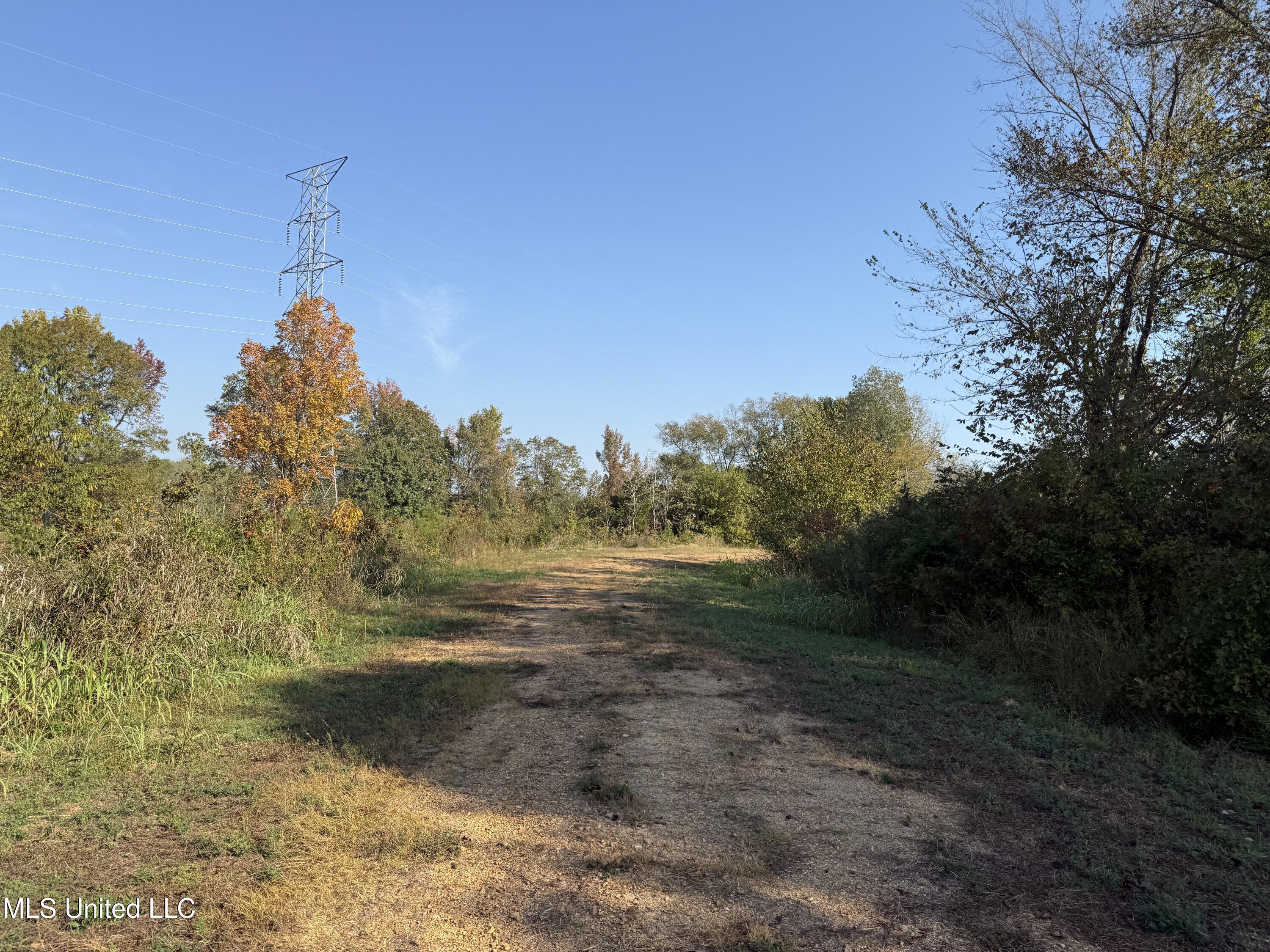 Off Highway 7 Property Photo 3
