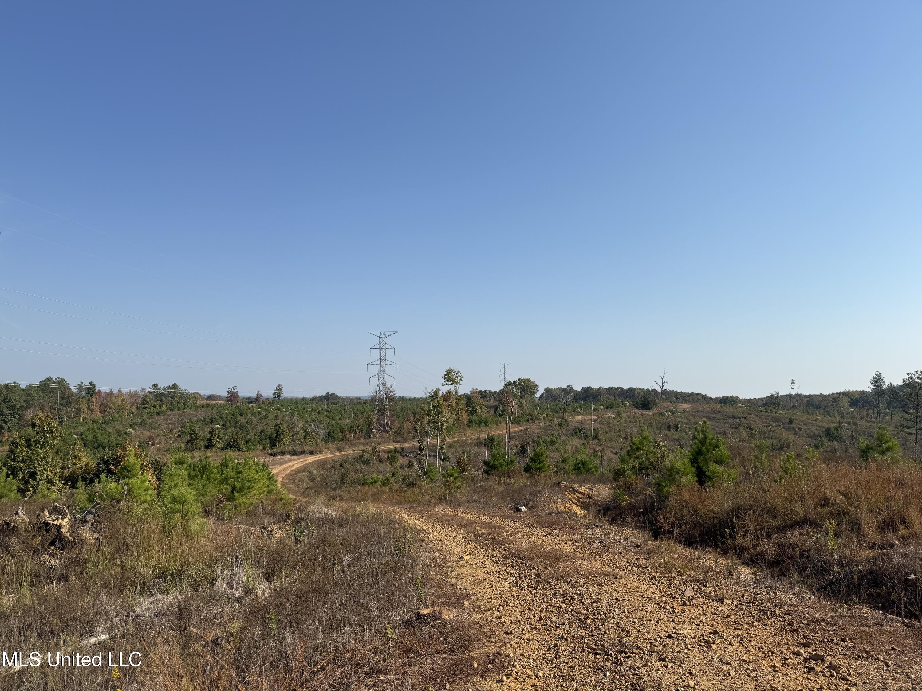 Off Highway 7 Property Photo 4