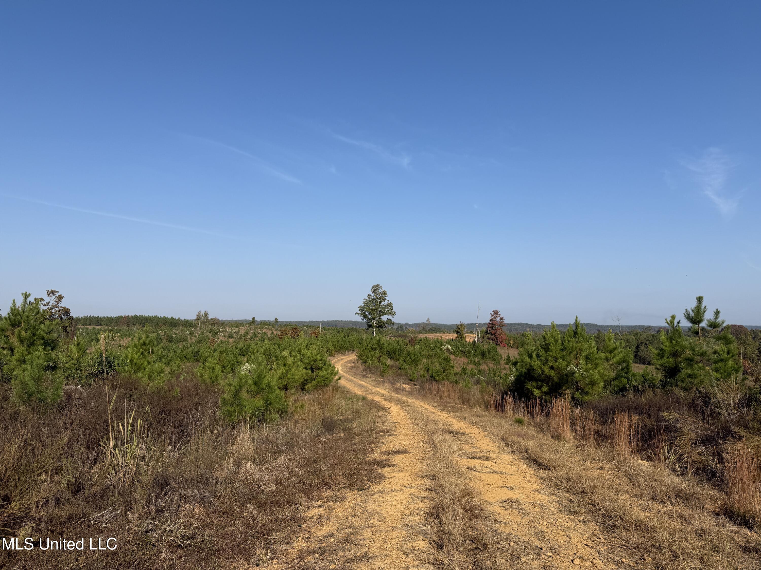 Off Highway 7 Property Photo 5