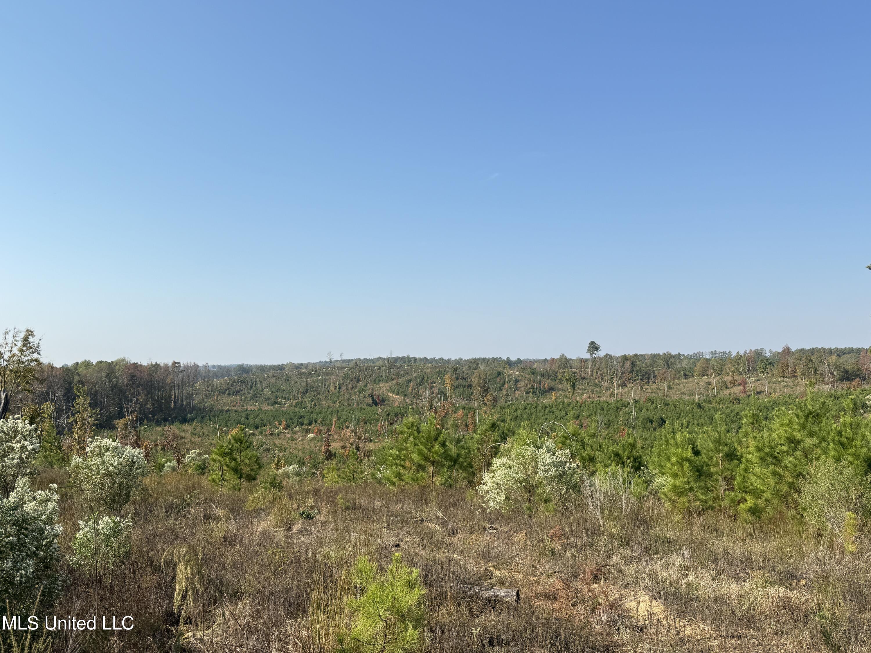 Off Highway 7 Property Photo 6