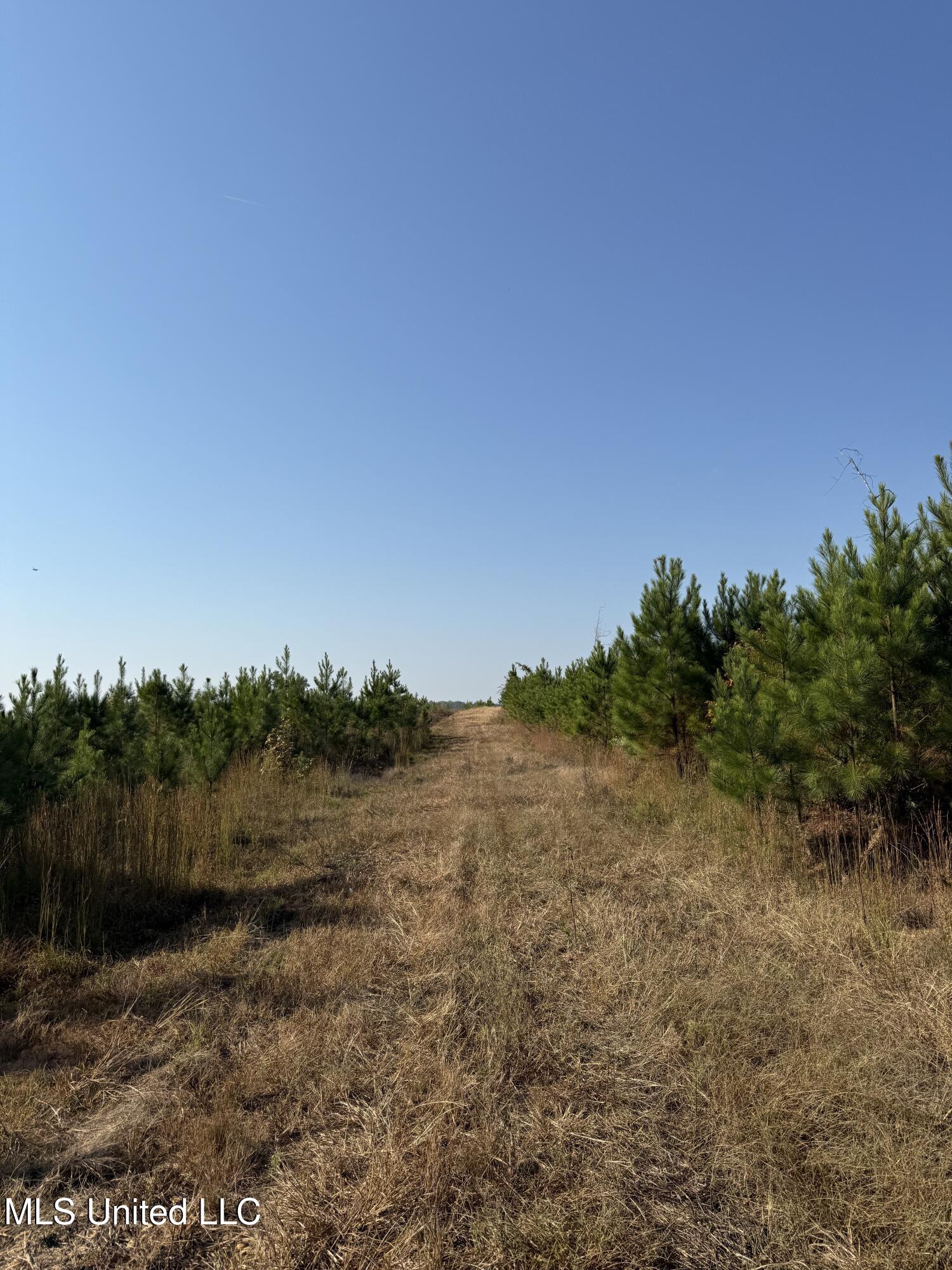 Off Highway 7 Property Photo 7