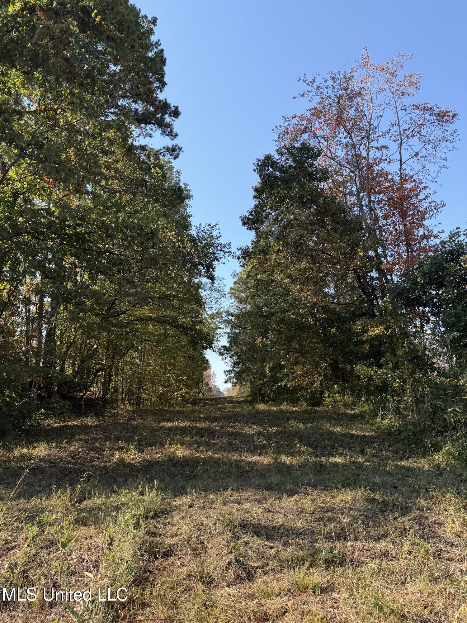 Off Highway 7 Property Photo 8
