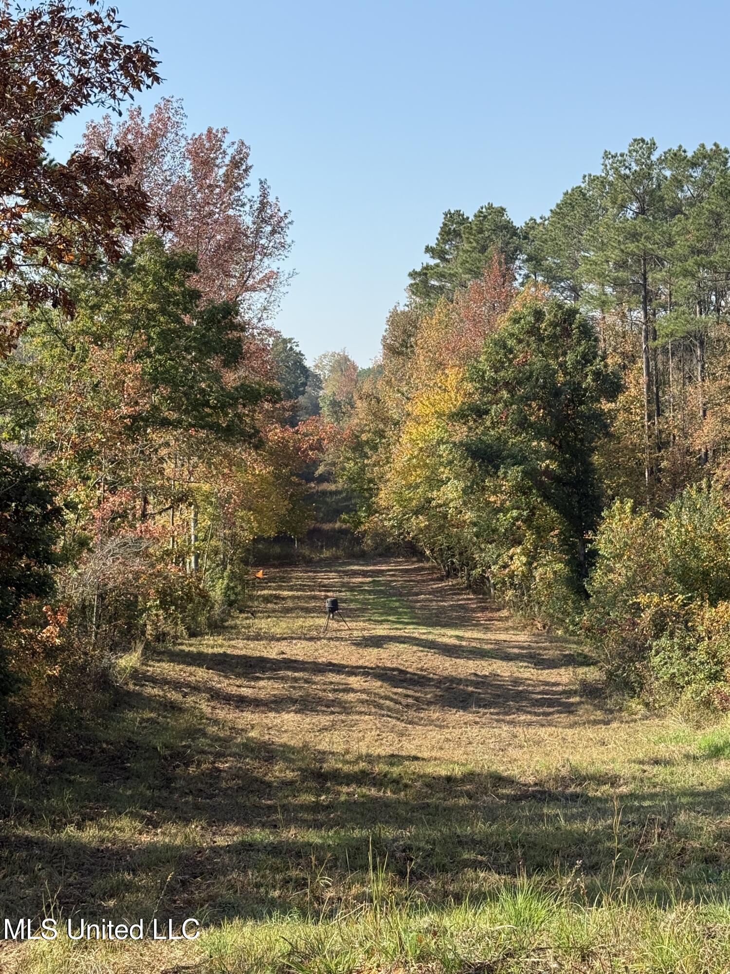 Off Highway 7 Property Photo 9