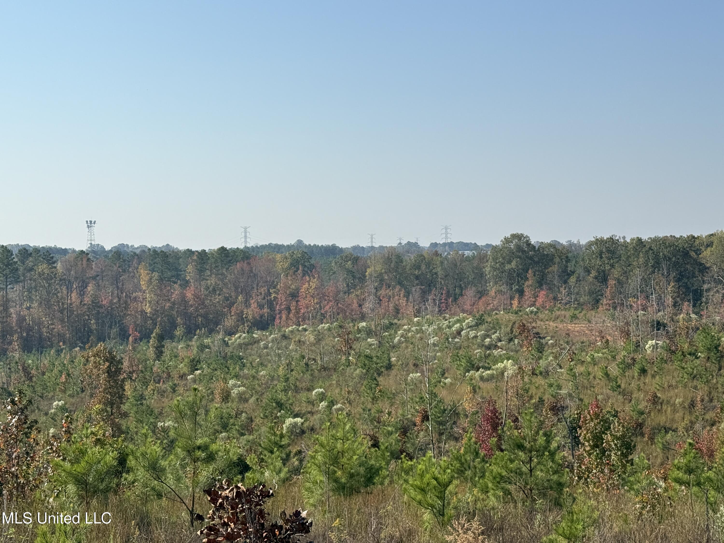 Off Highway 7 Property Photo 10