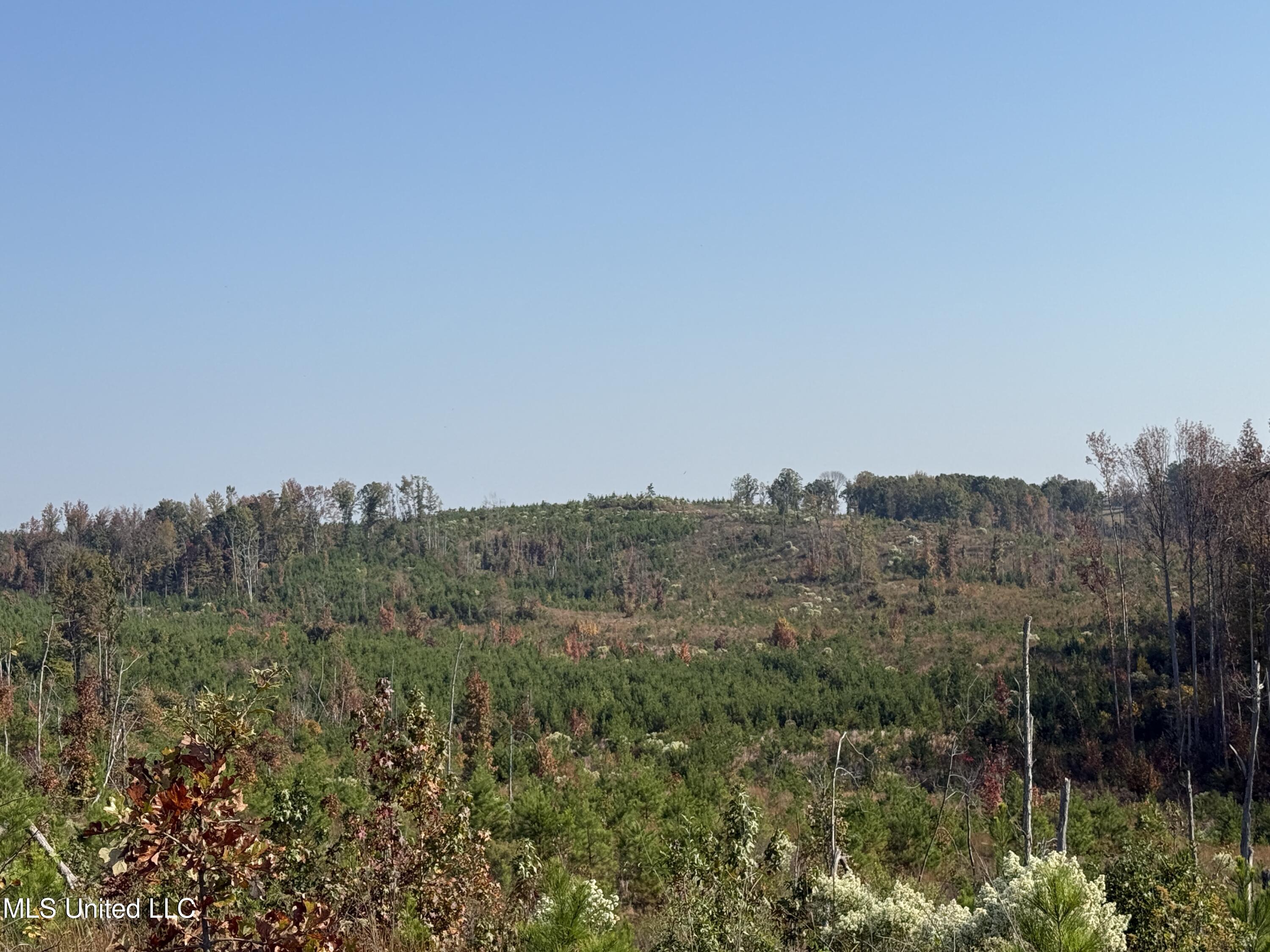 Off Highway 7 Property Photo 11