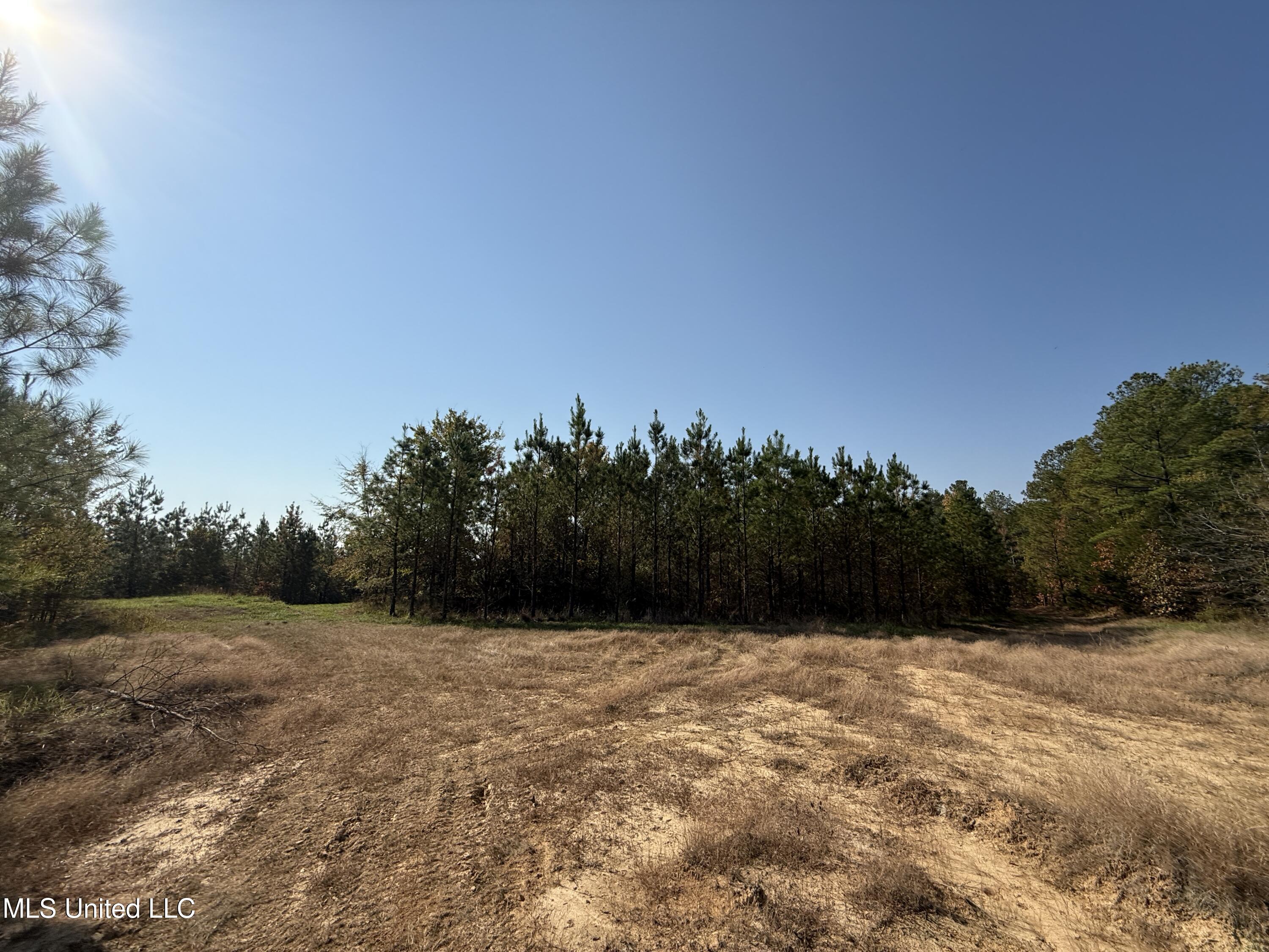 Off Highway 7 Property Photo 12