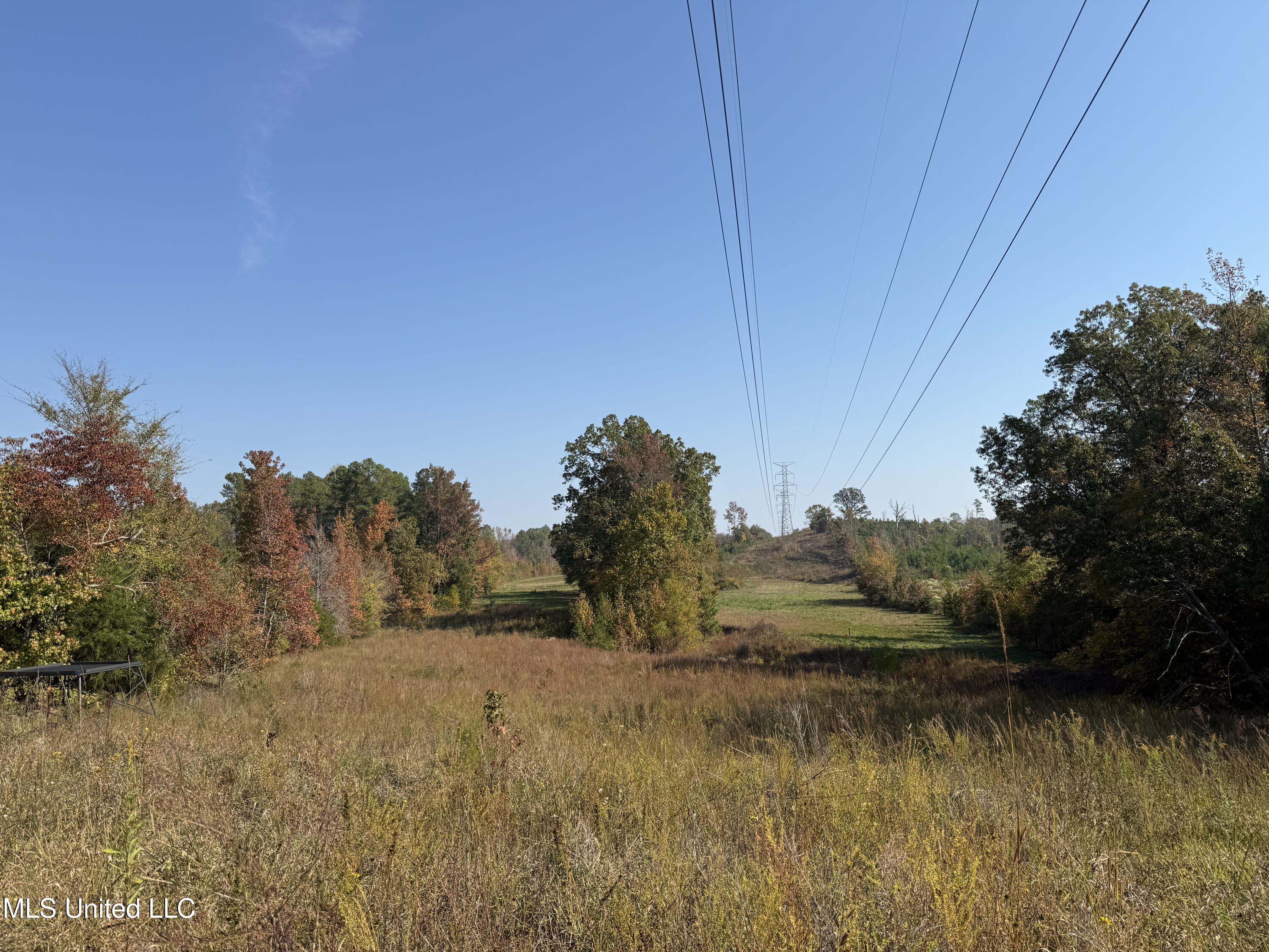 Off Highway 7 Property Photo 13