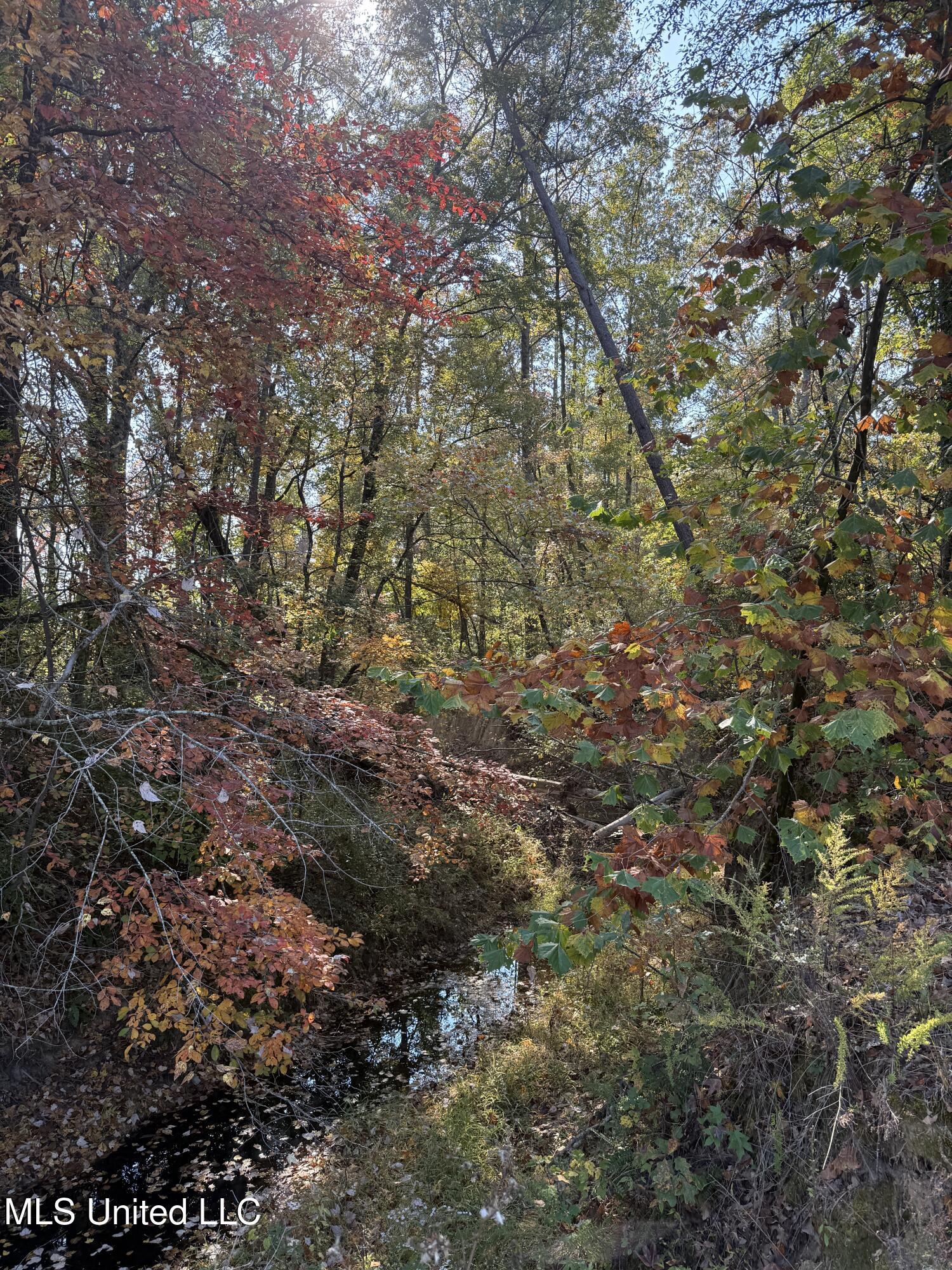 Off Highway 7 Property Photo 14