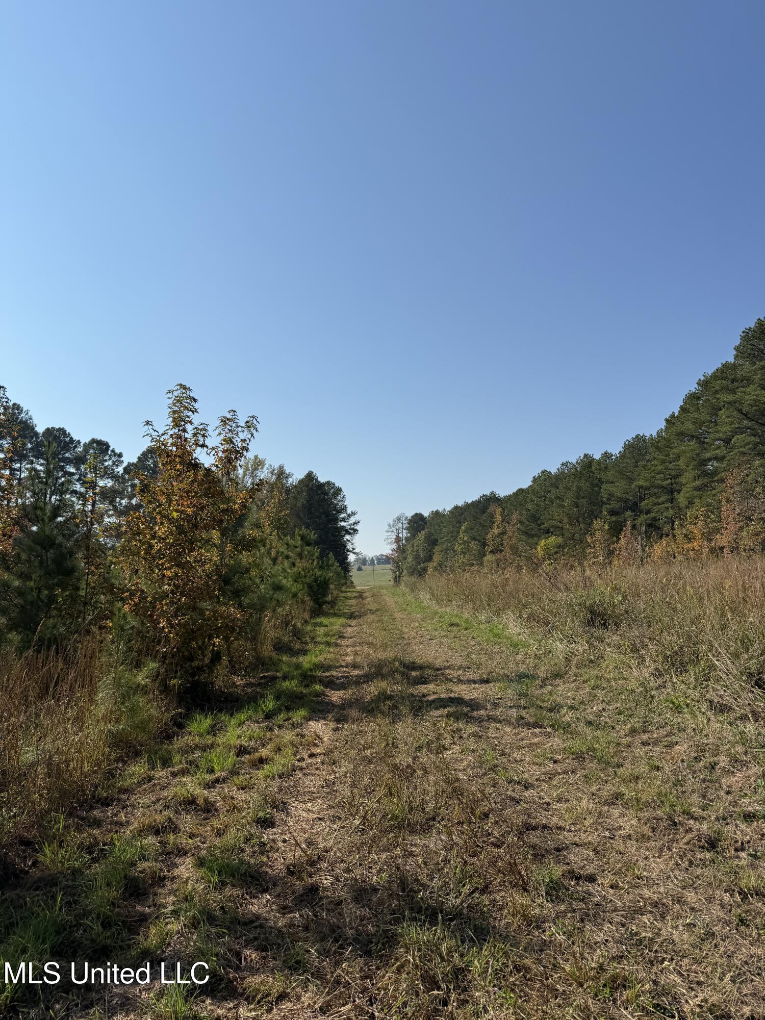 Off Highway 7 Property Photo 15