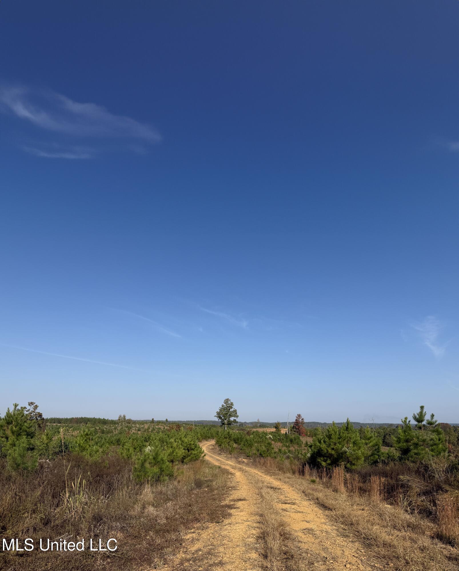 Off Highway 7 Property Photo 16