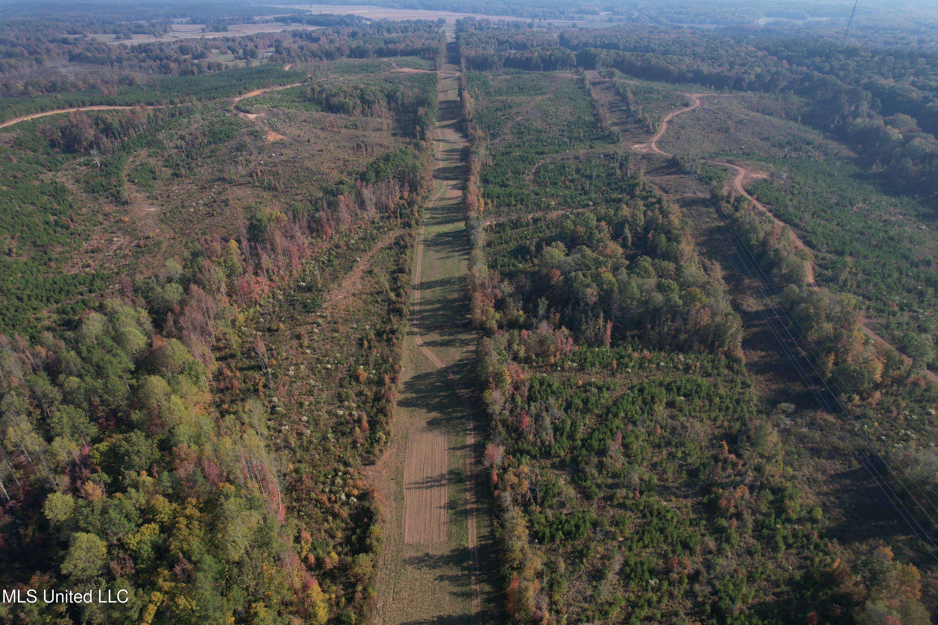 Off Highway 7 Property Photo 18