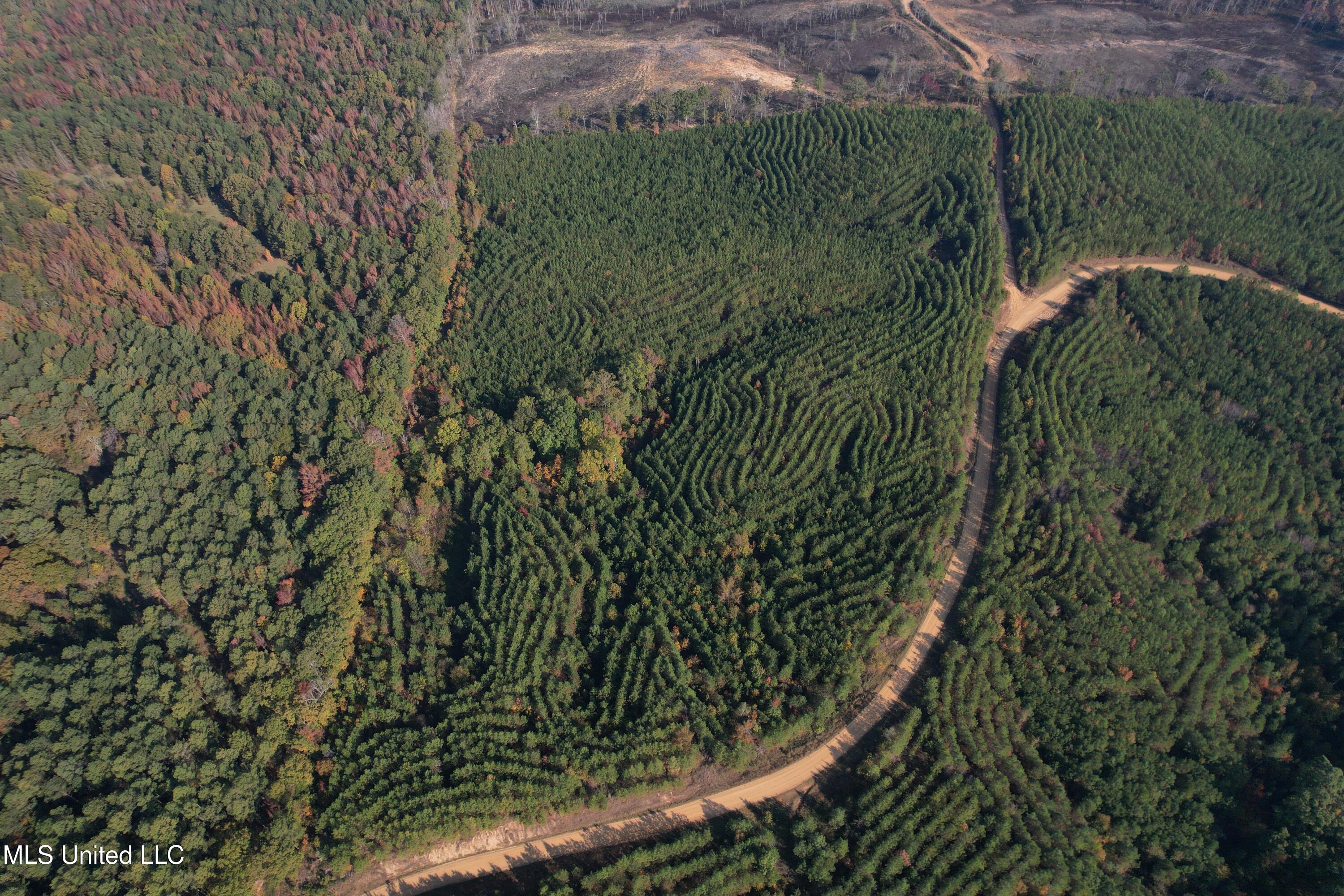 Off Highway 7 Property Photo 19