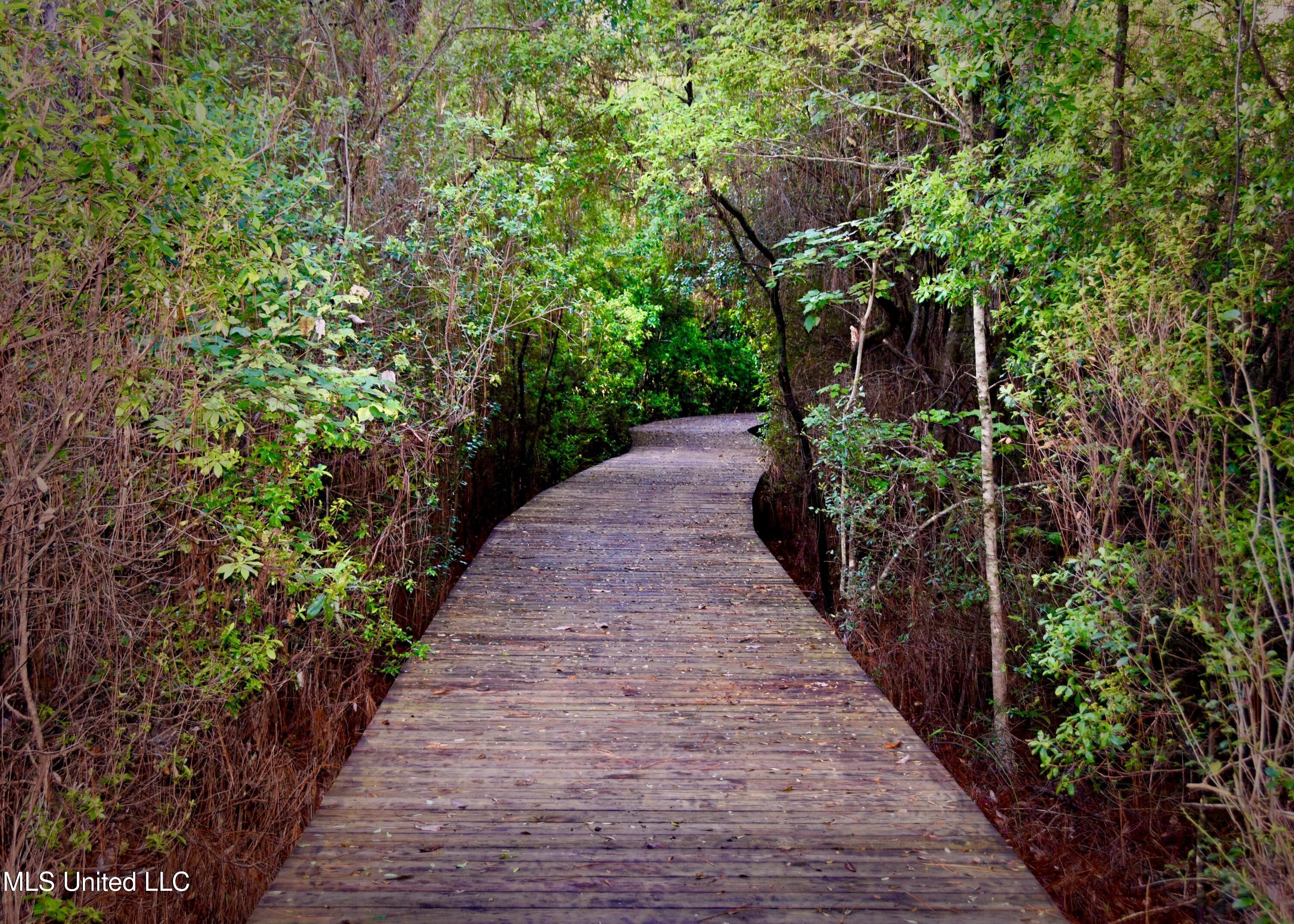 12180 Old Whisper Creek Drive Property Photo 9