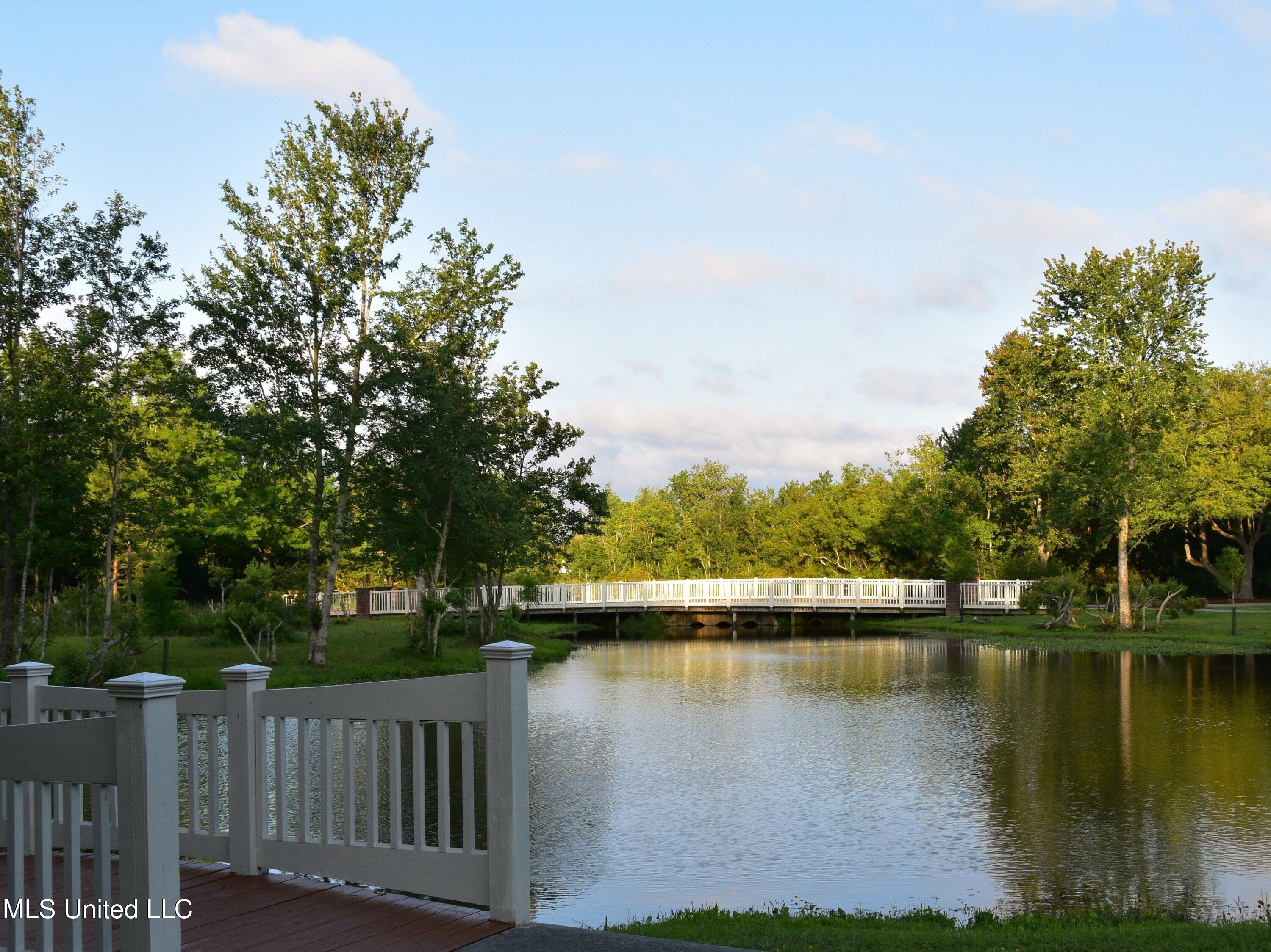 12180 Old Whisper Creek Drive Property Photo 11