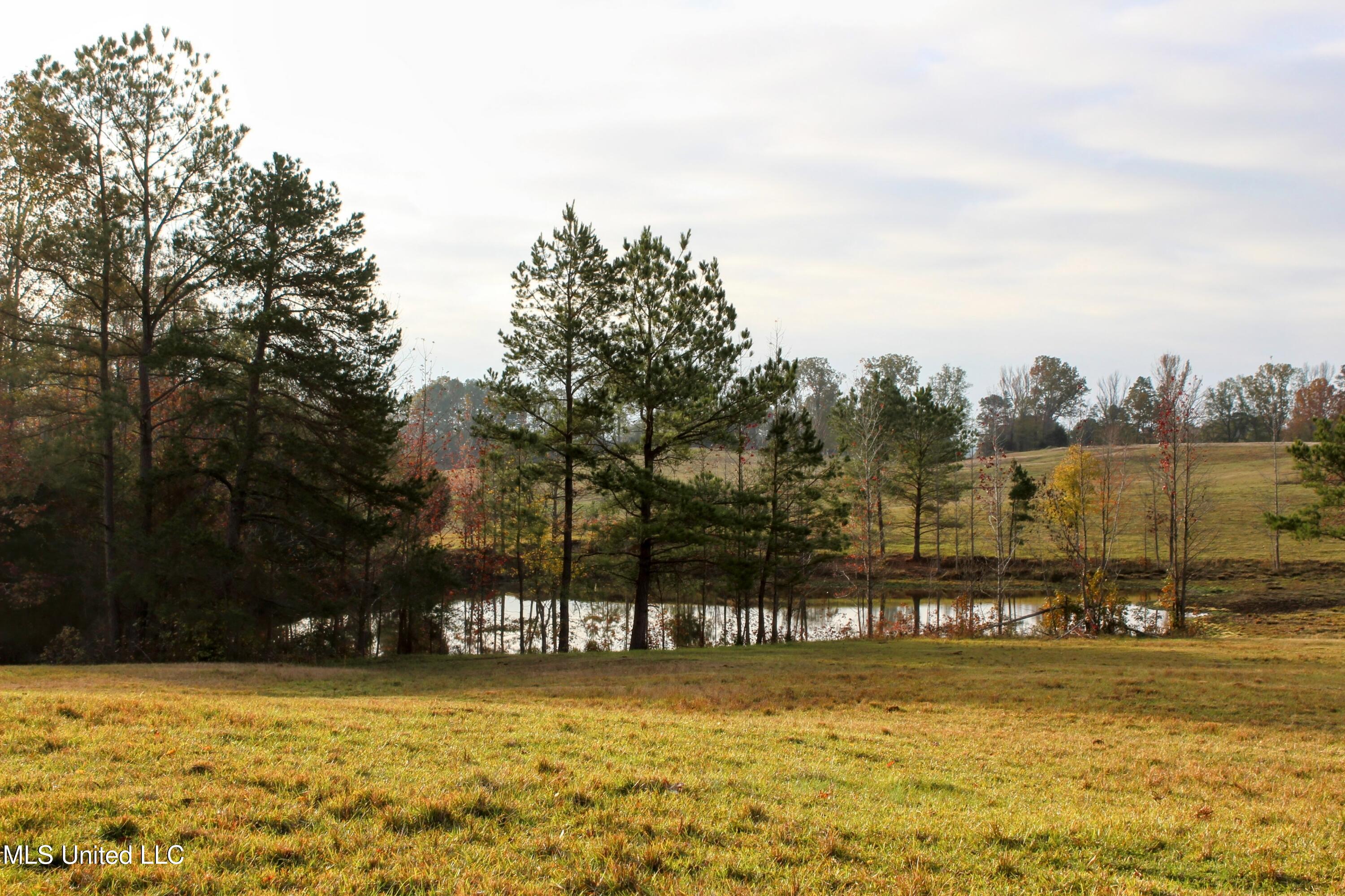 Tbd Cr 145 Property Photo 2