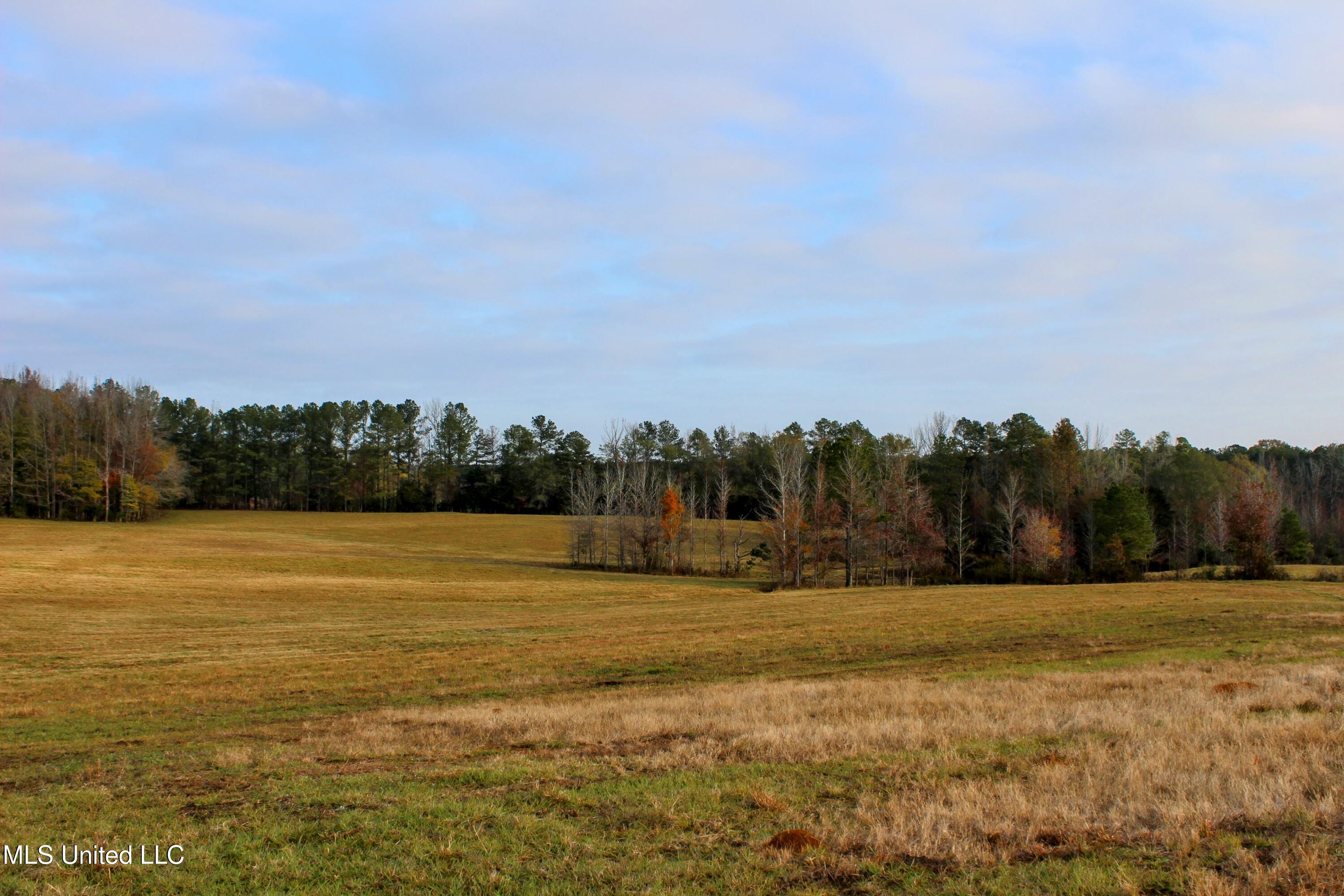 Tbd Cr 145 Property Photo 11