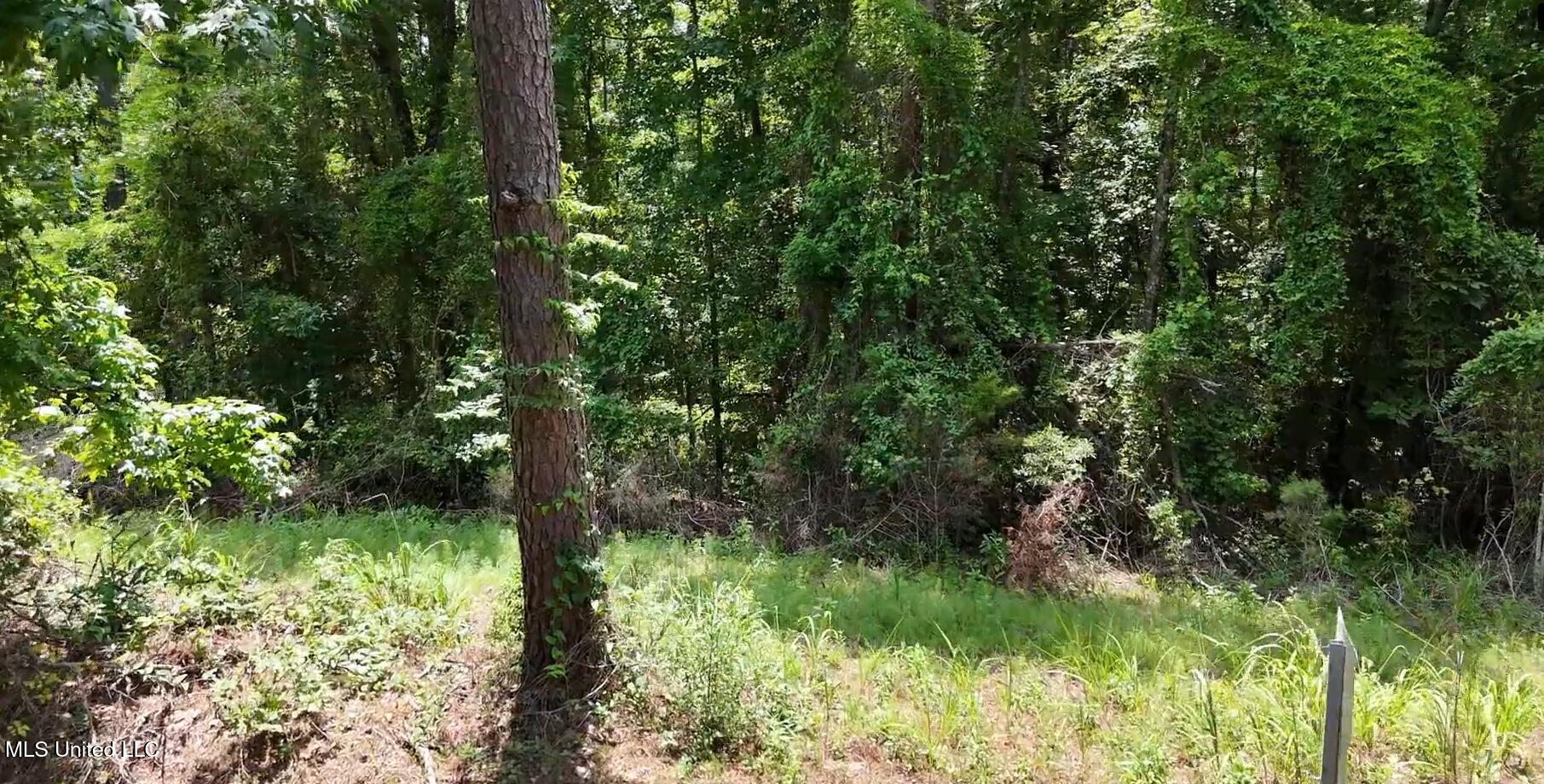 170 Flowers Road Property Photo 8