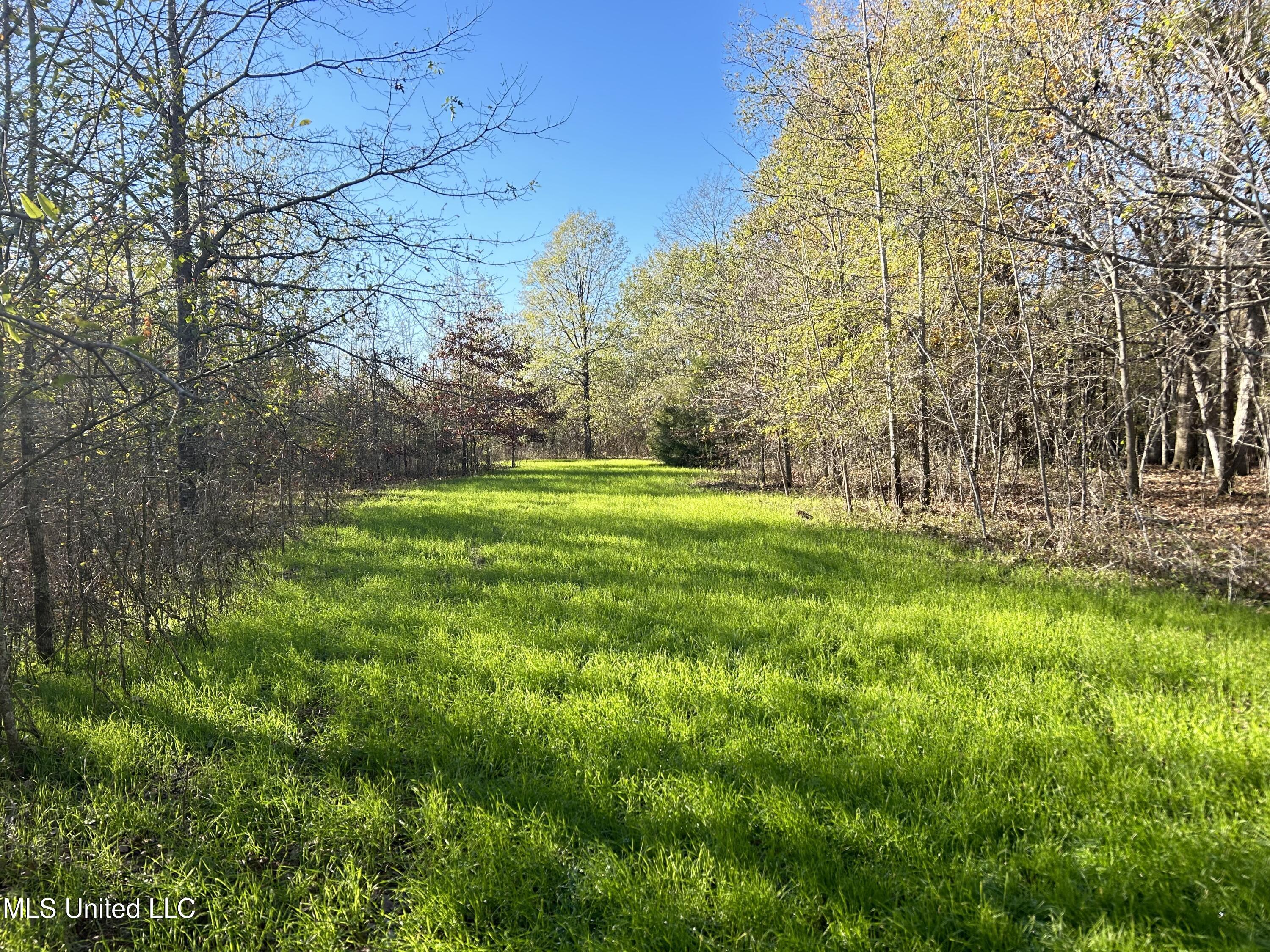 W Mound Bayou Road
