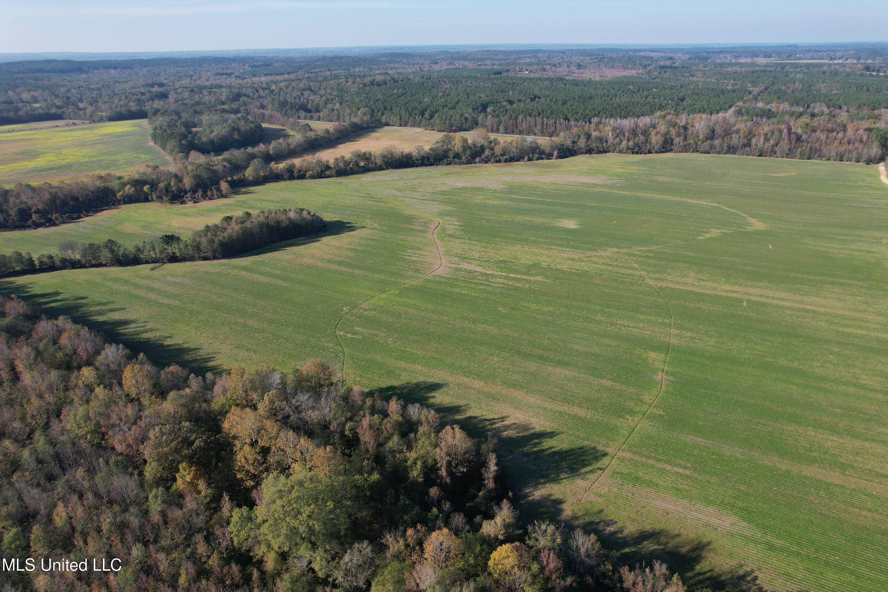 Attala Road 4110 Property Photo 1
