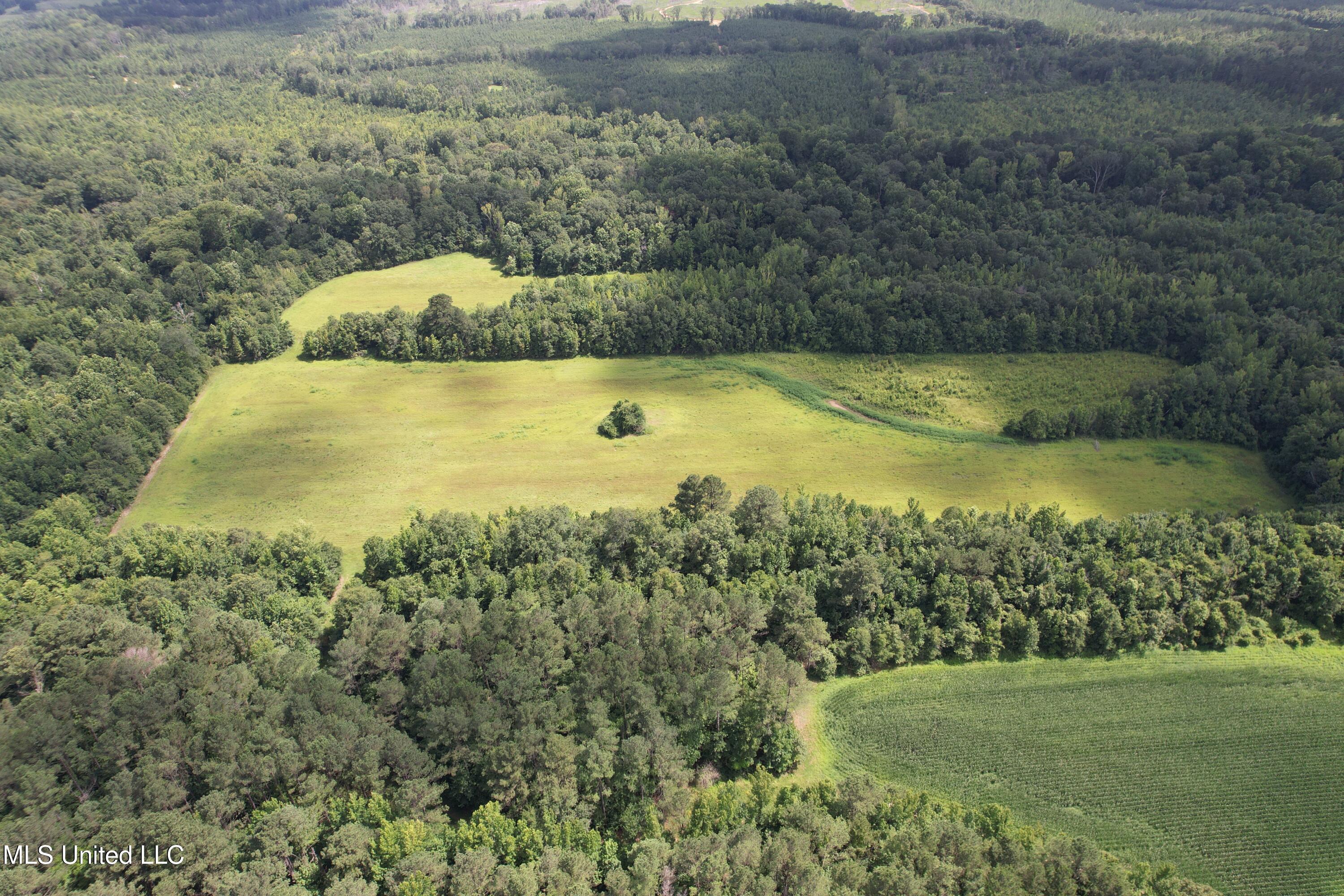 Attala Road 4110 Property Photo 2