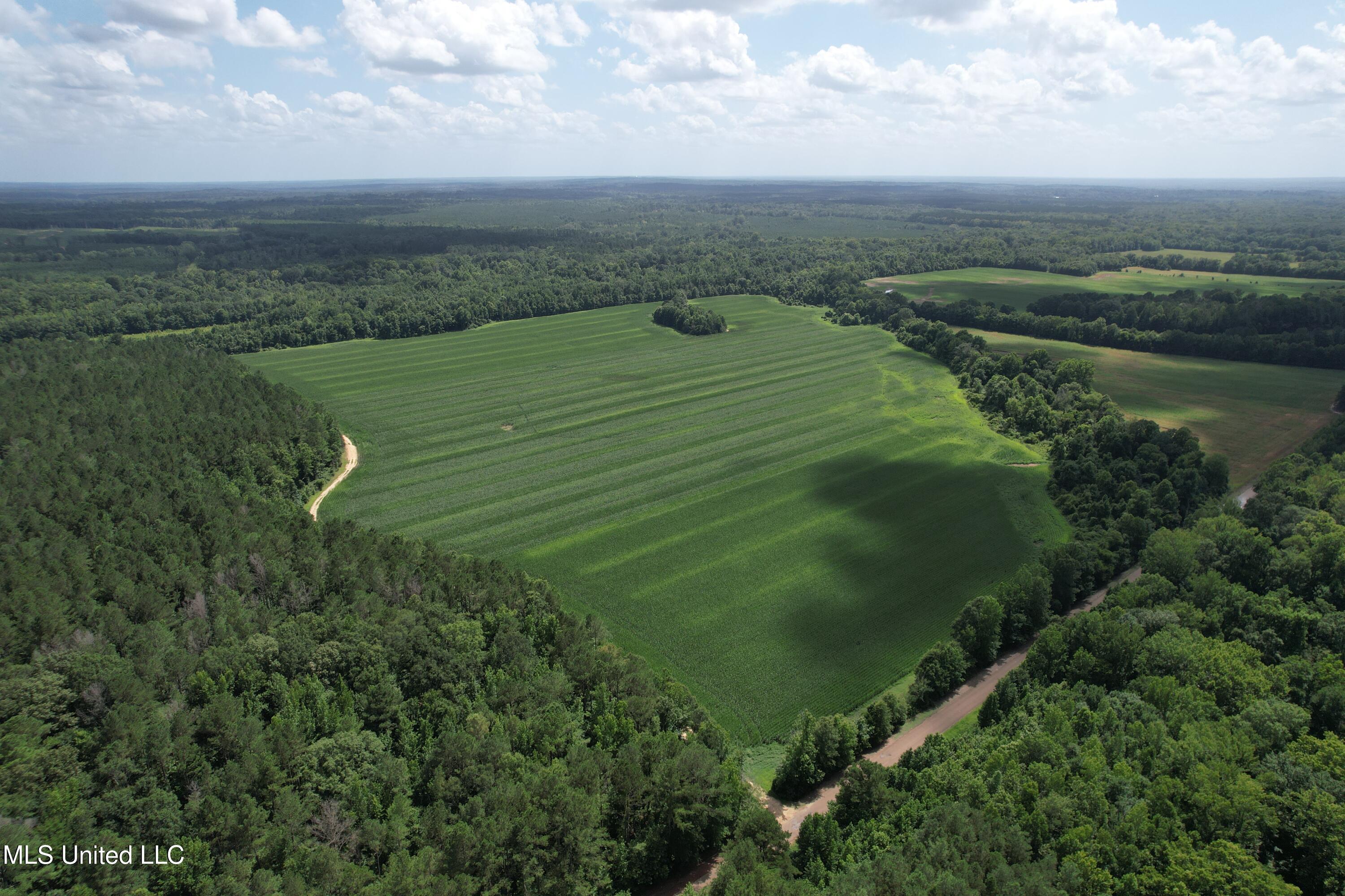 Attala Road 4110 Property Photo 6