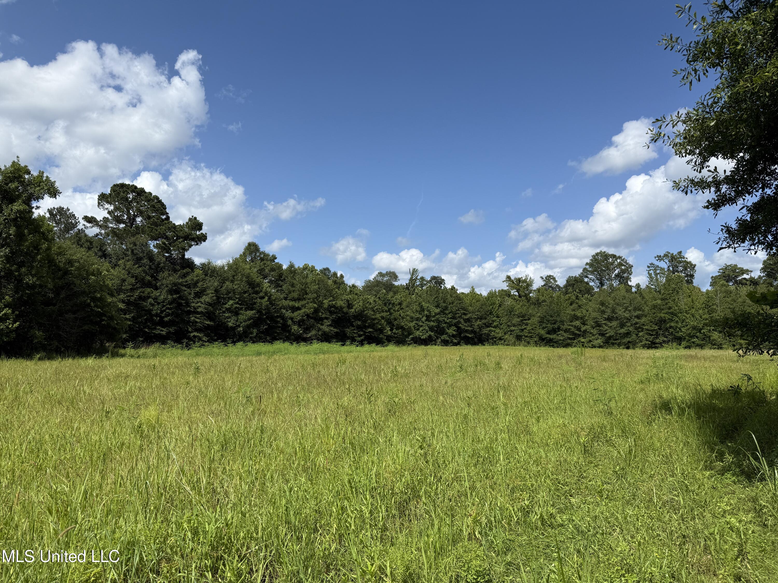 Attala Road 4110 Property Photo 8