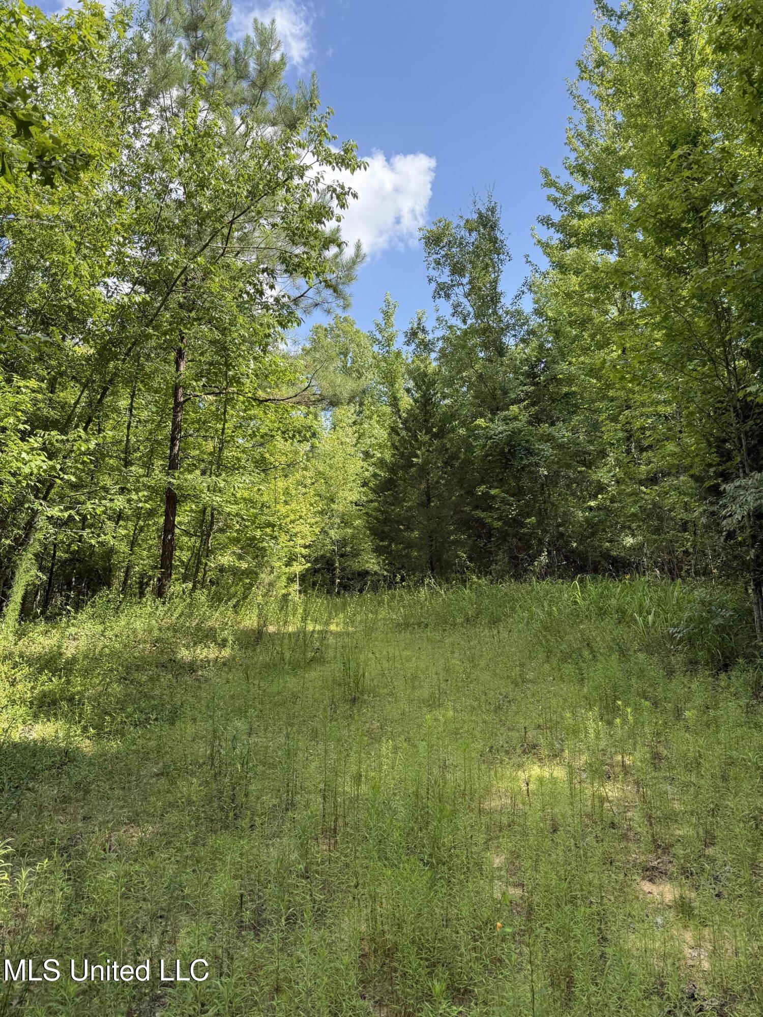 Attala Road 4110 Property Photo 9