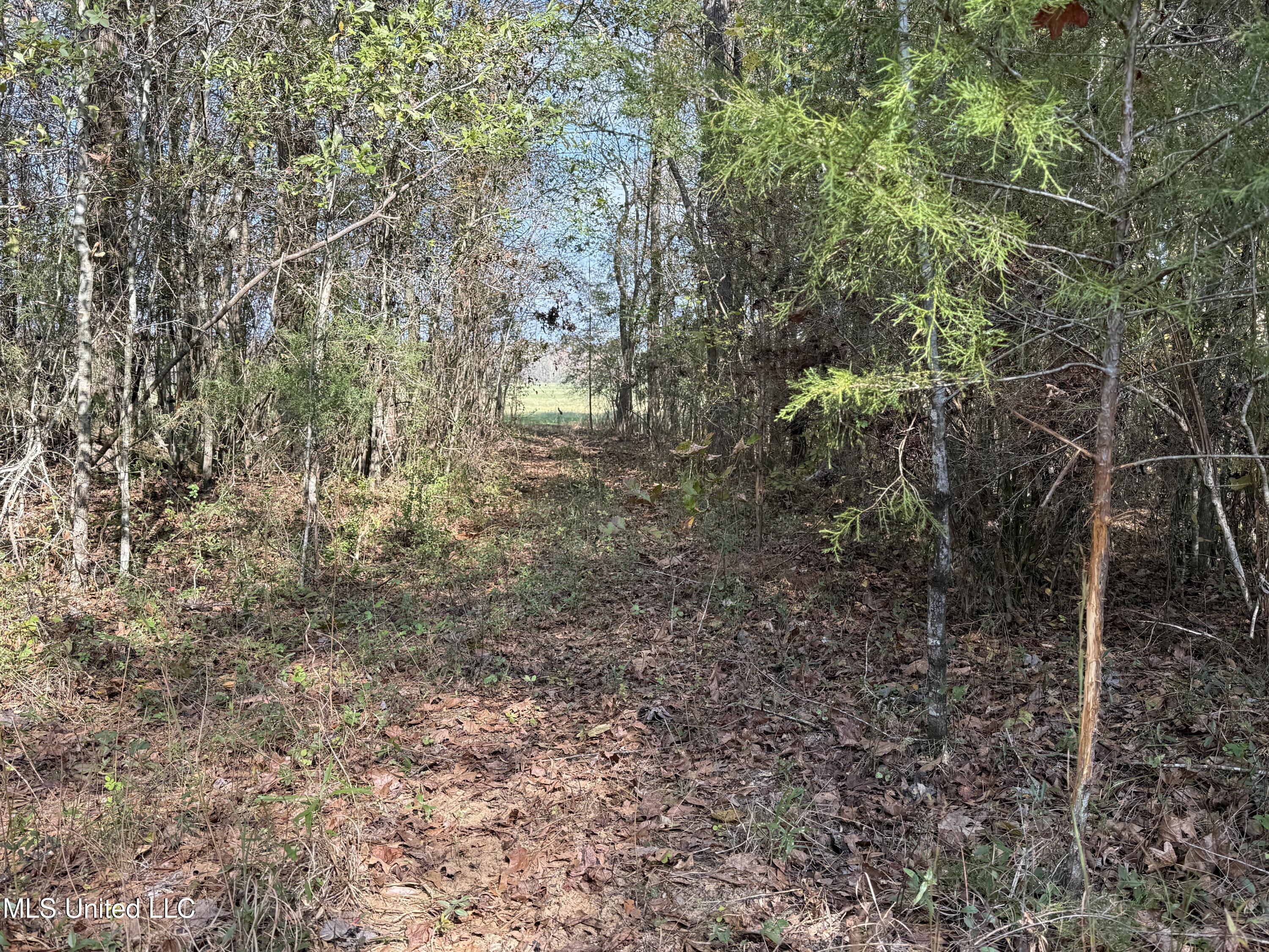 Attala Road 4110 Property Photo 11