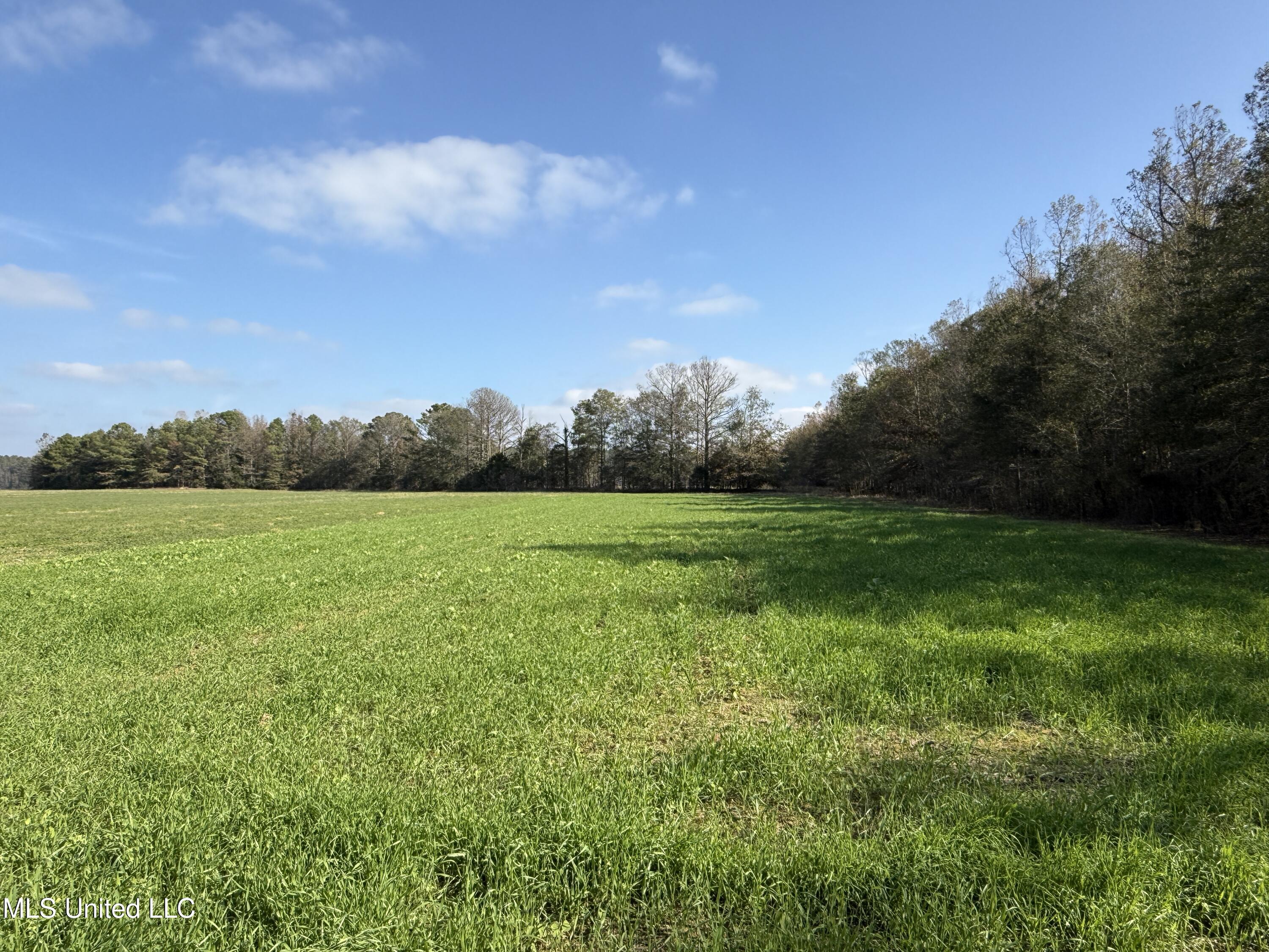 Attala Road 4110 Property Photo 12