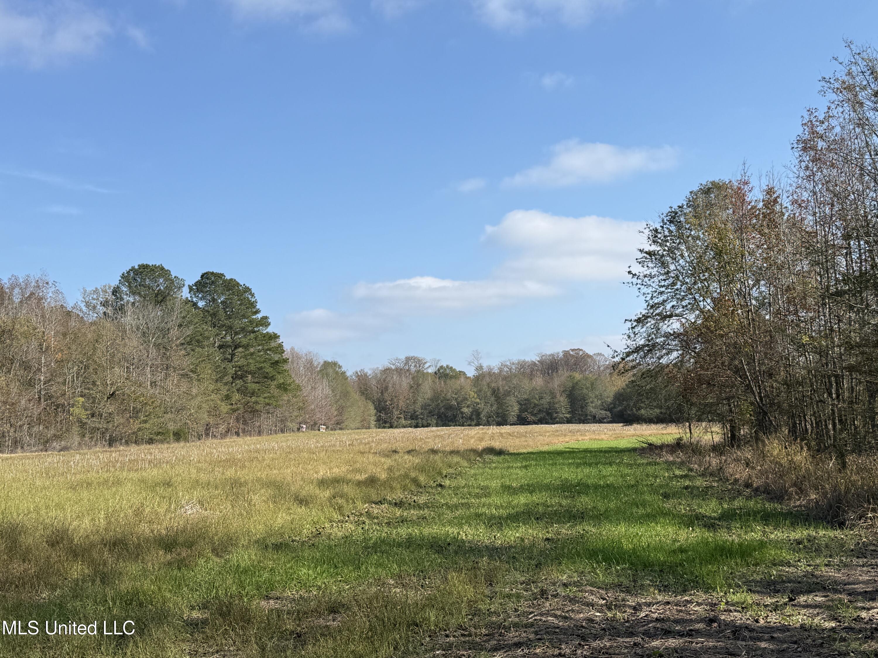 Attala Road 4110 Property Photo 13