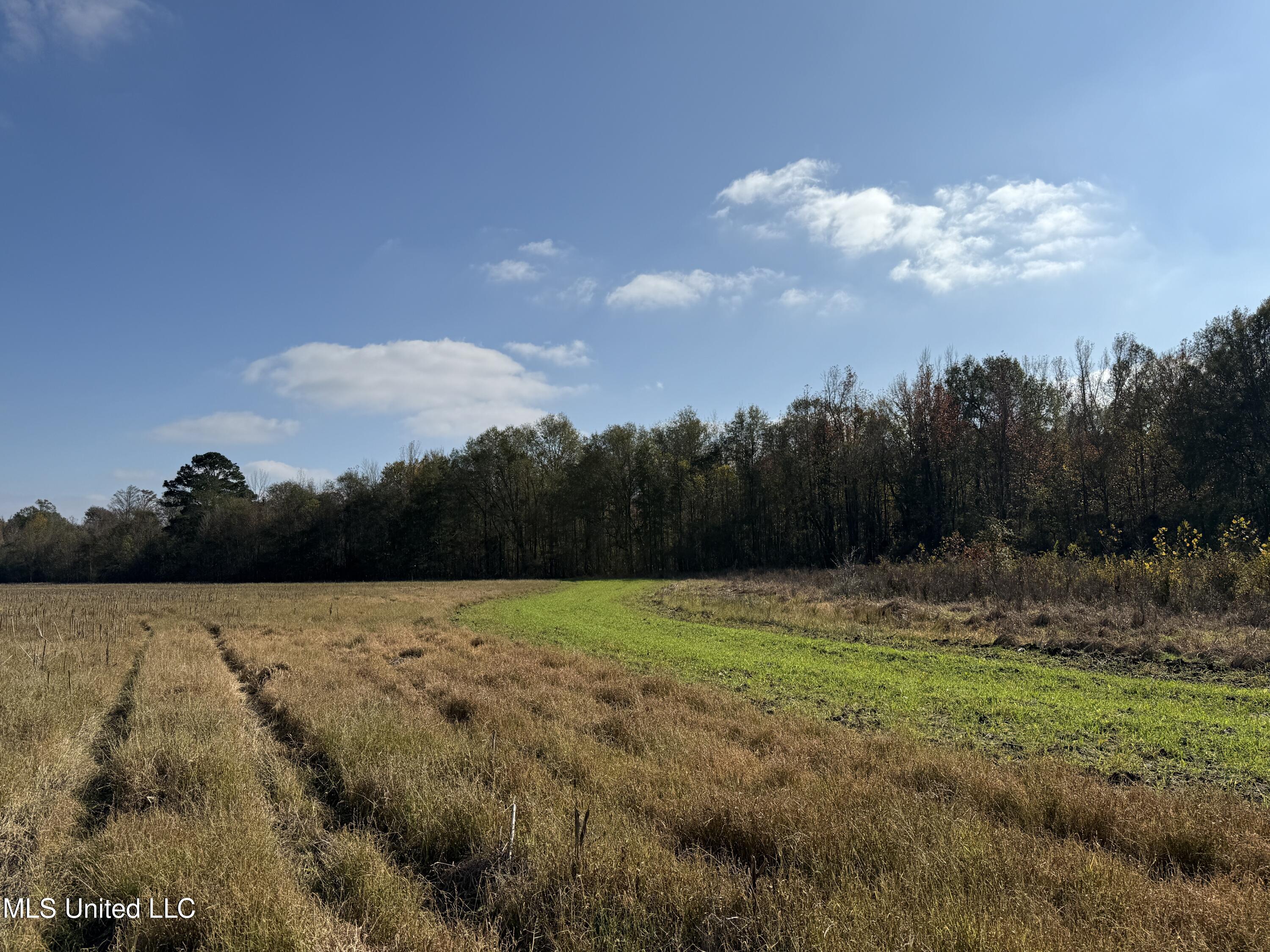 Attala Road 4110 Property Photo 14