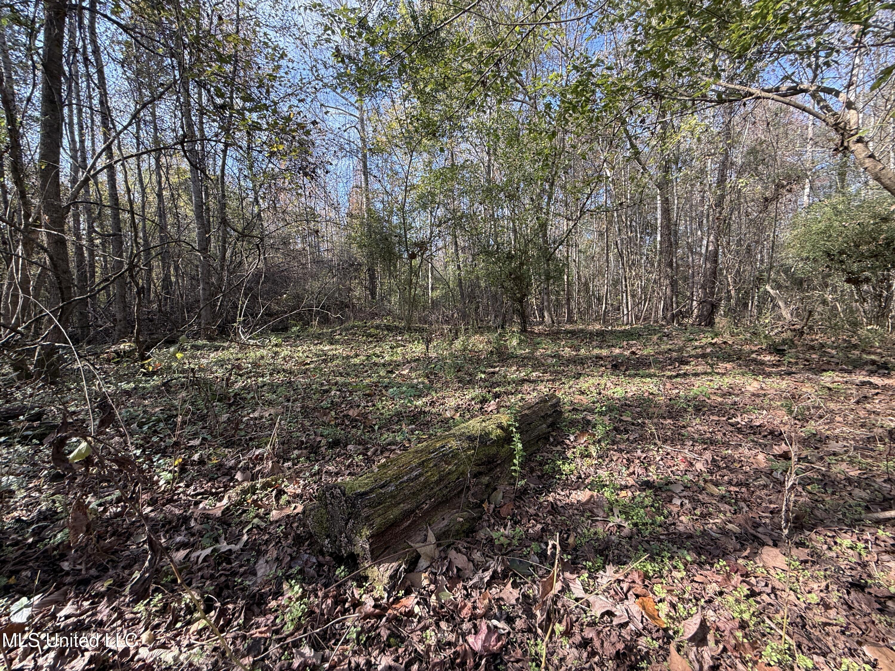 Attala Road 4110 Property Photo 15
