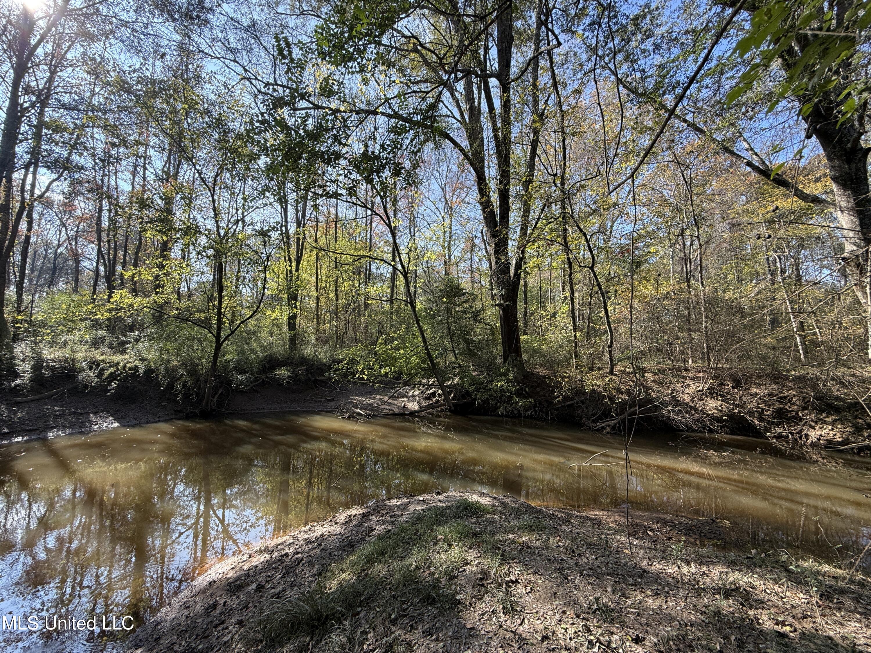 Attala Road 4110 Property Photo 19