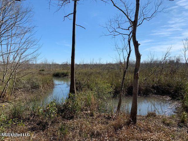 Menge Avenue Property Photo 4